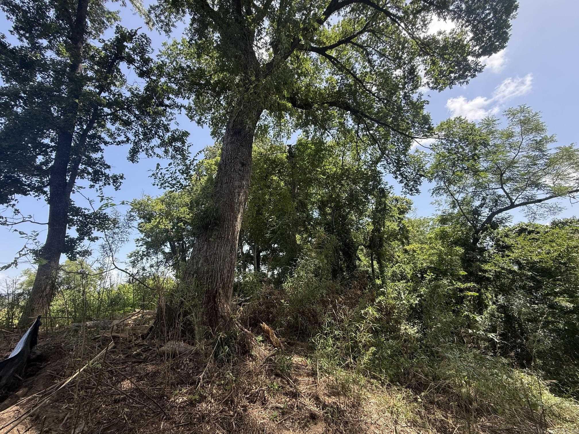 Lot 50 Down River  Heber Springs, AR