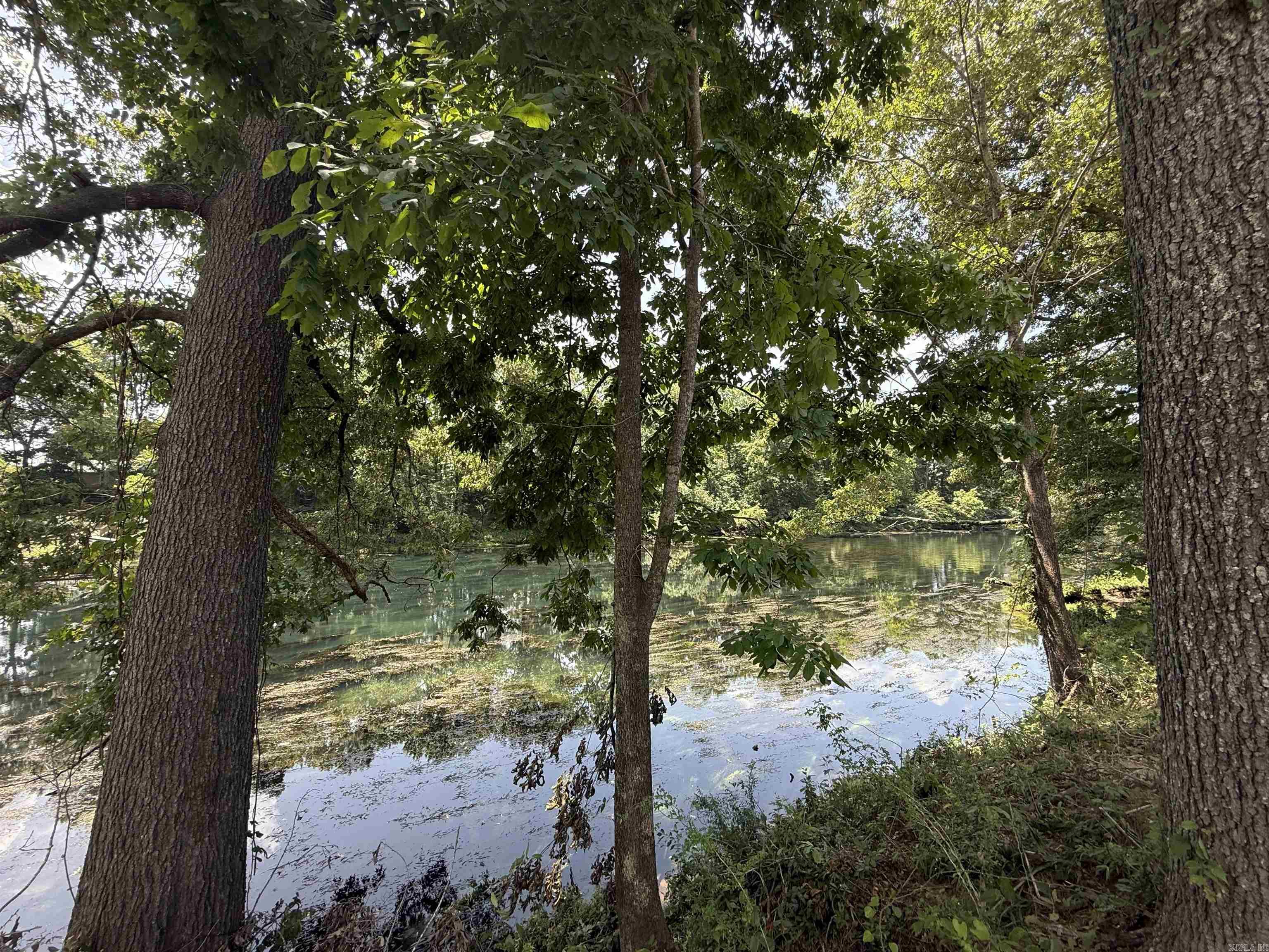 Lot 59 Down River  Heber Springs, AR