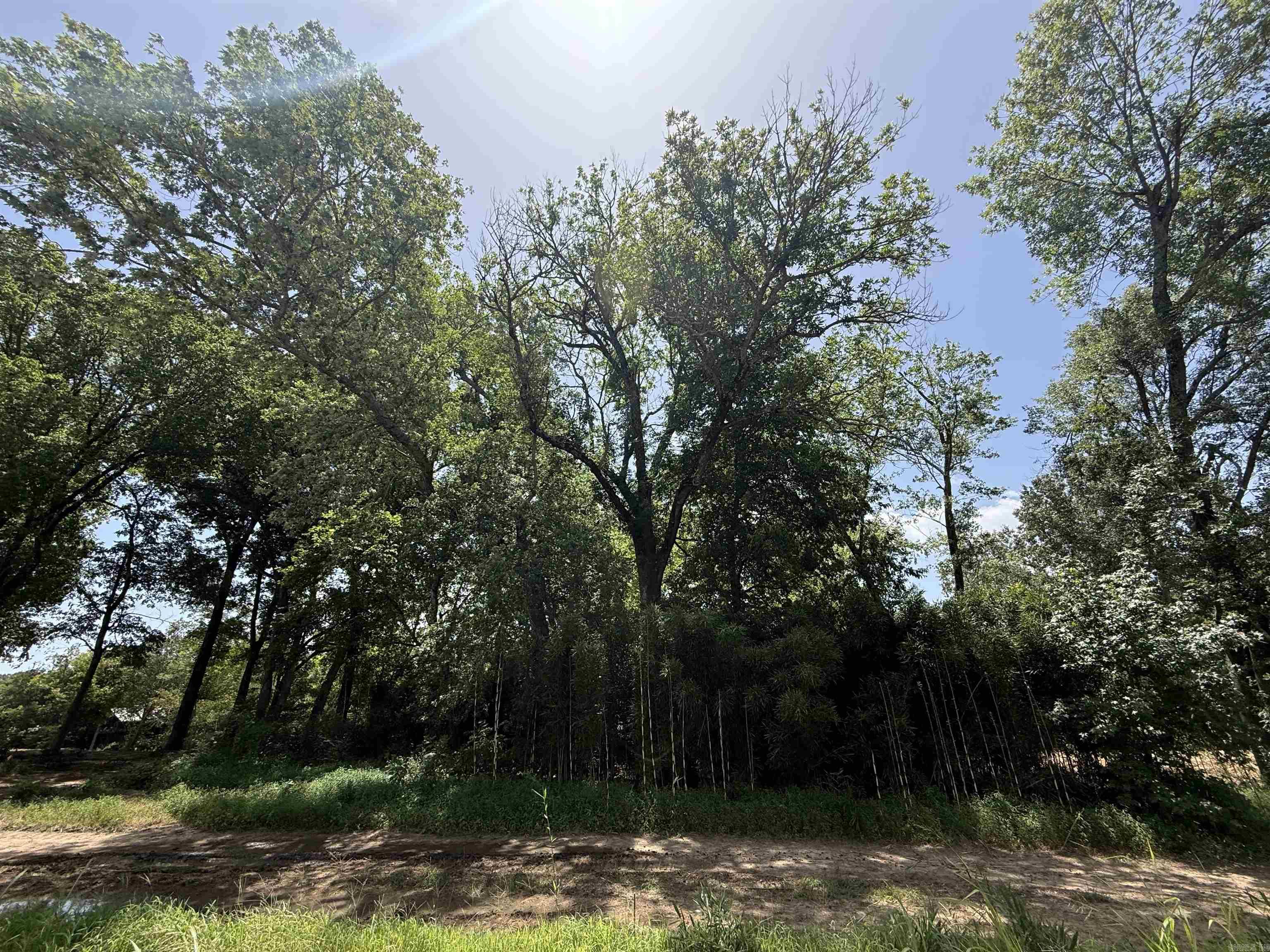Lot 59 Down River  Heber Springs, AR