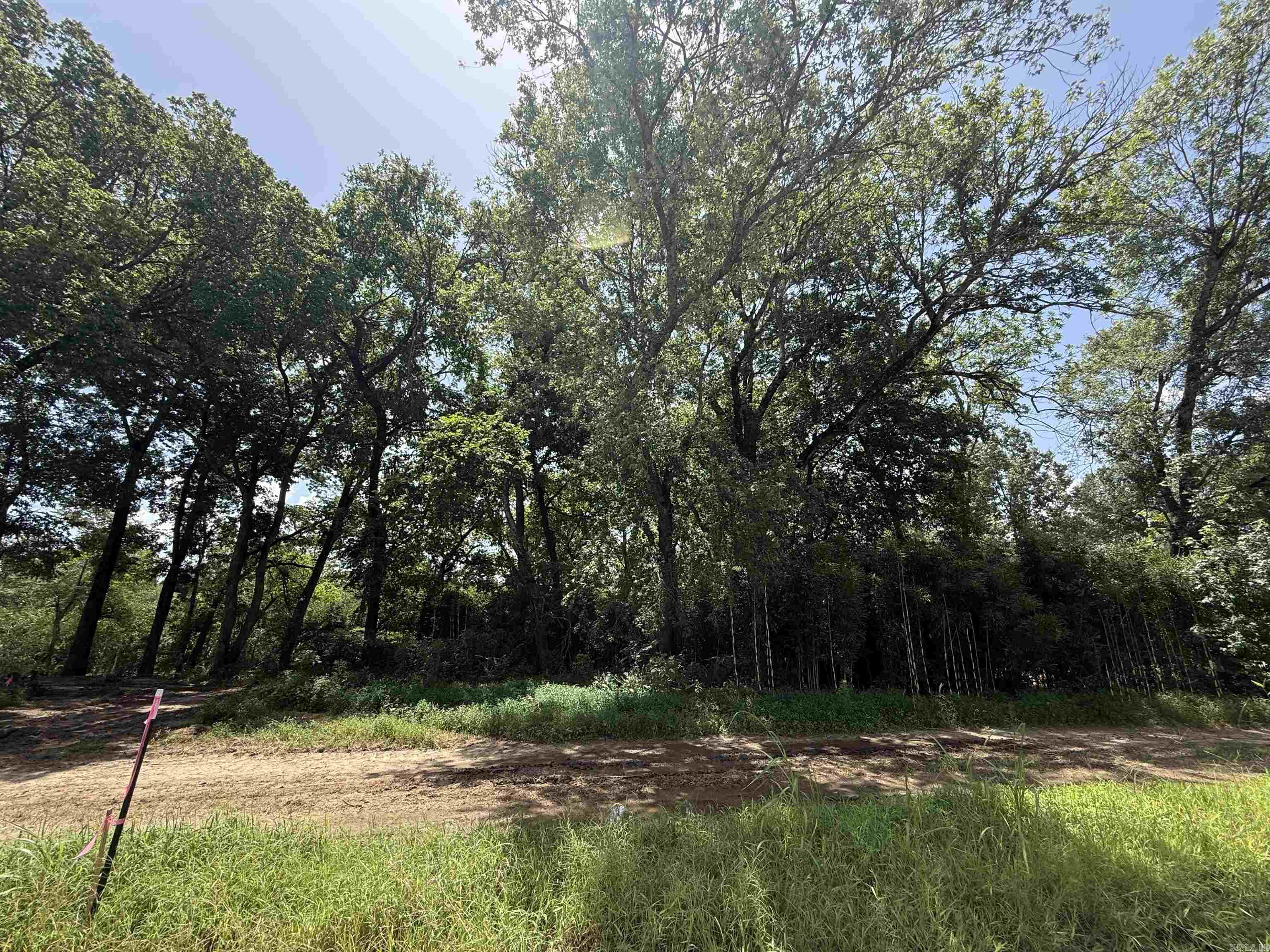 Lot 59 Down River  Heber Springs, AR