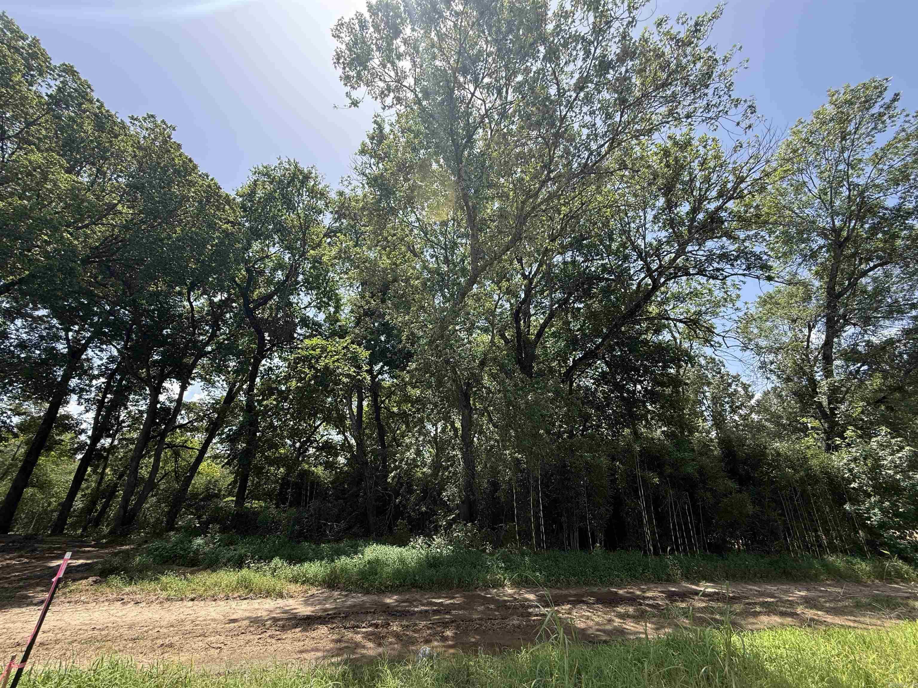 Lot 59 Down River  Heber Springs, AR