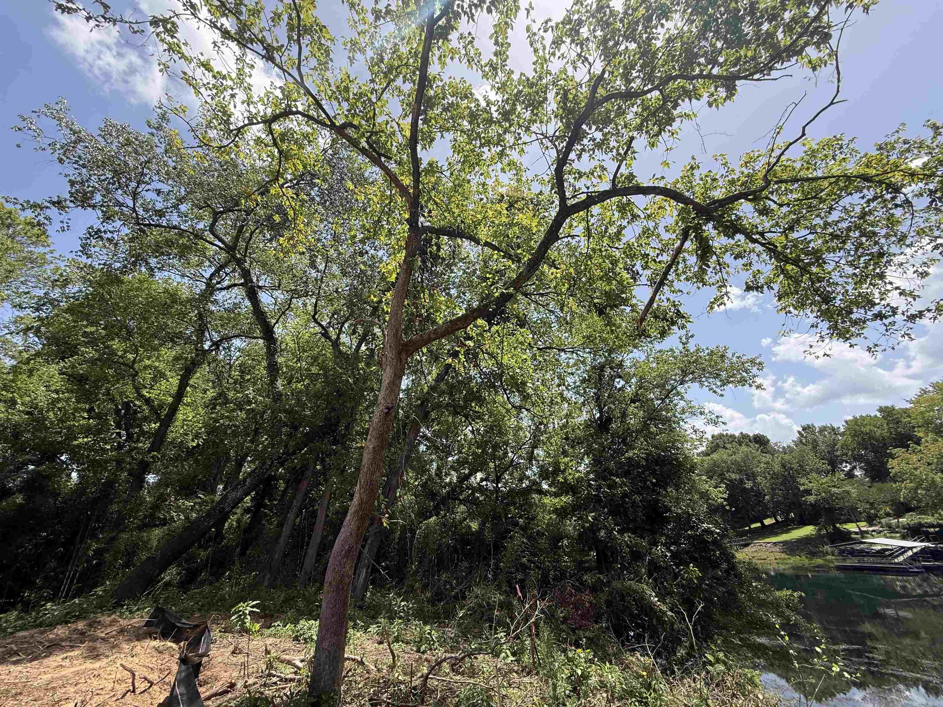 Lot 59 Down River  Heber Springs, AR
