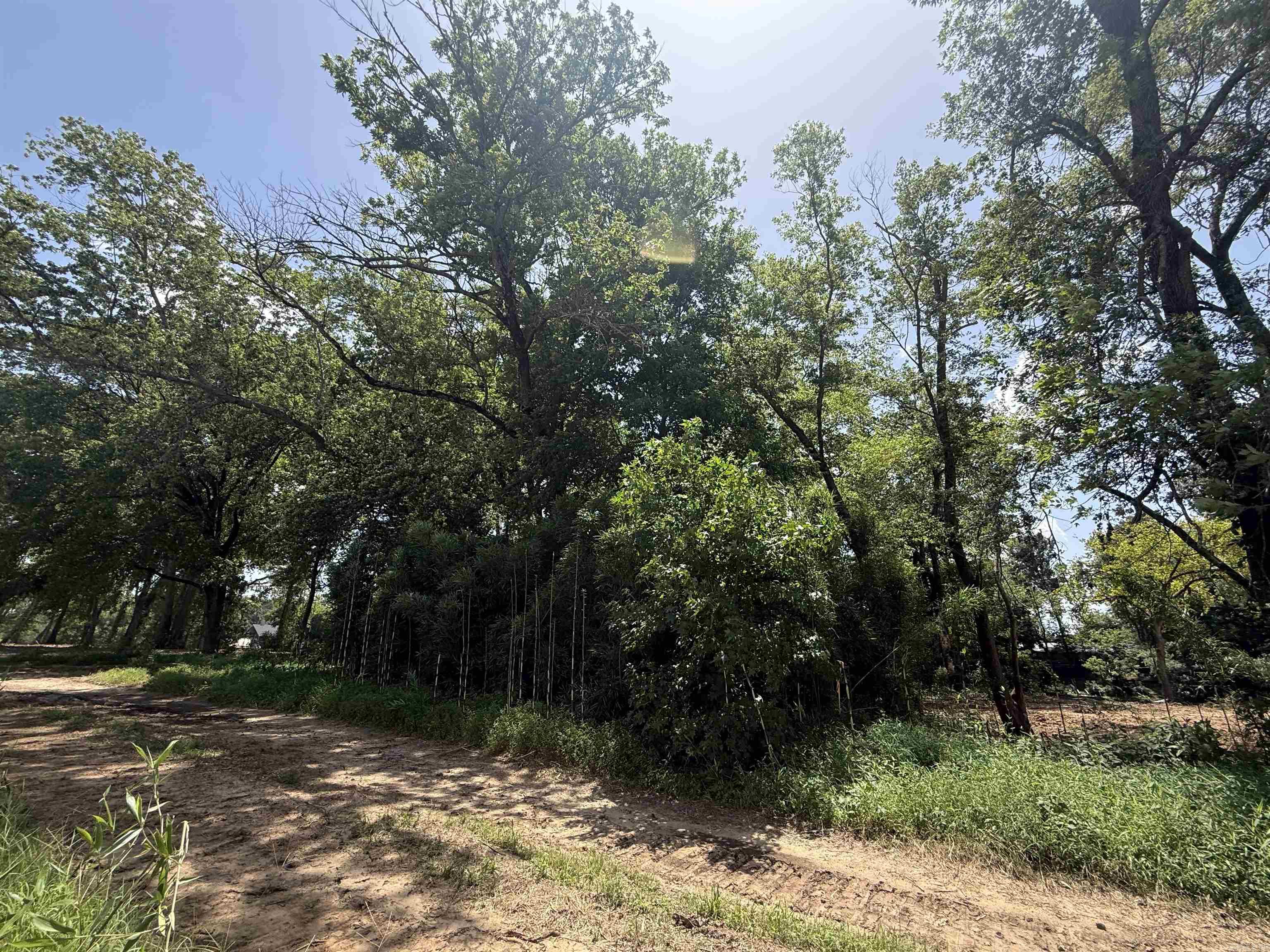 Lot 59 Down River  Heber Springs, AR
