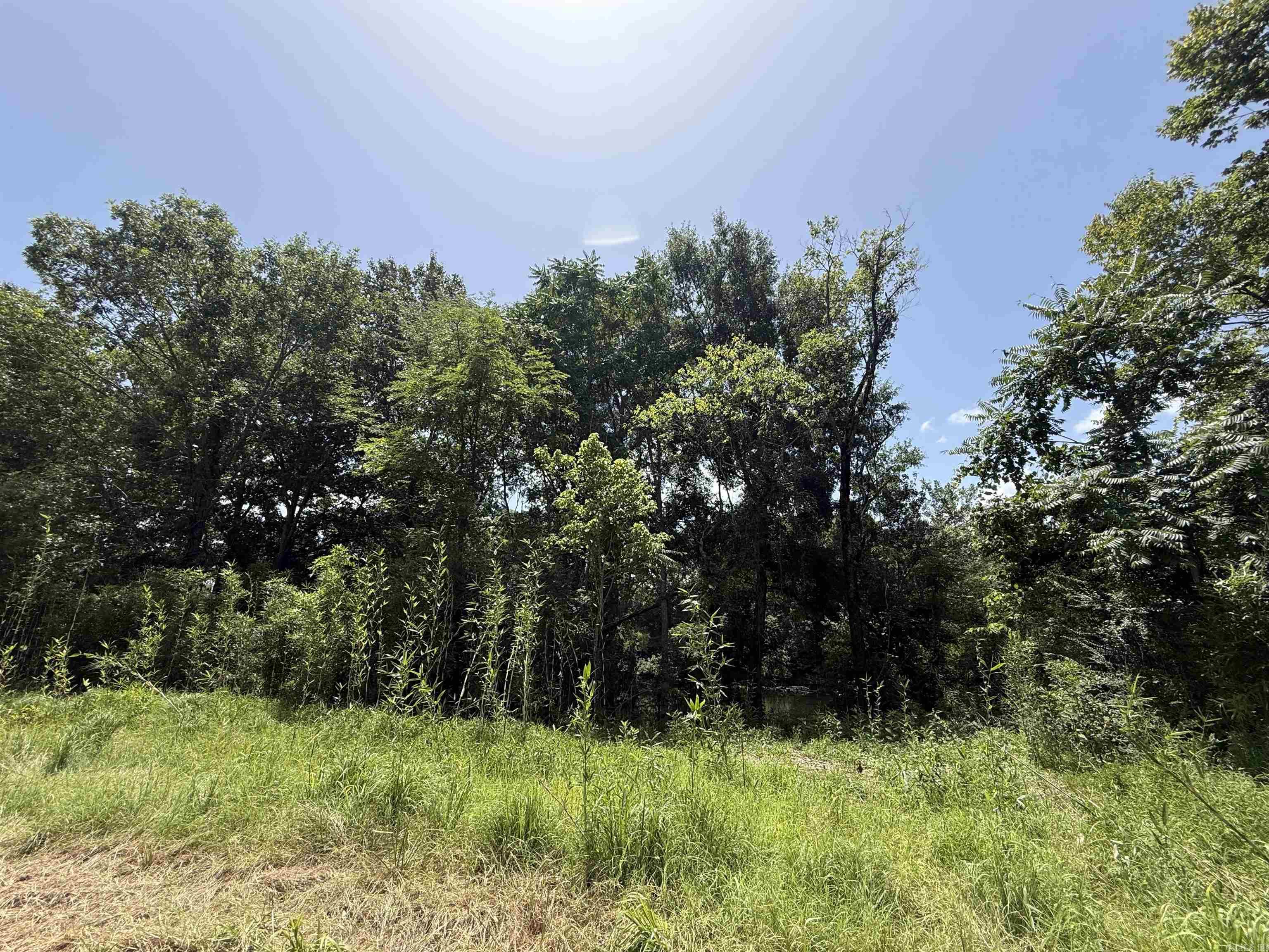 Lot 61 Down River  Heber Springs, AR