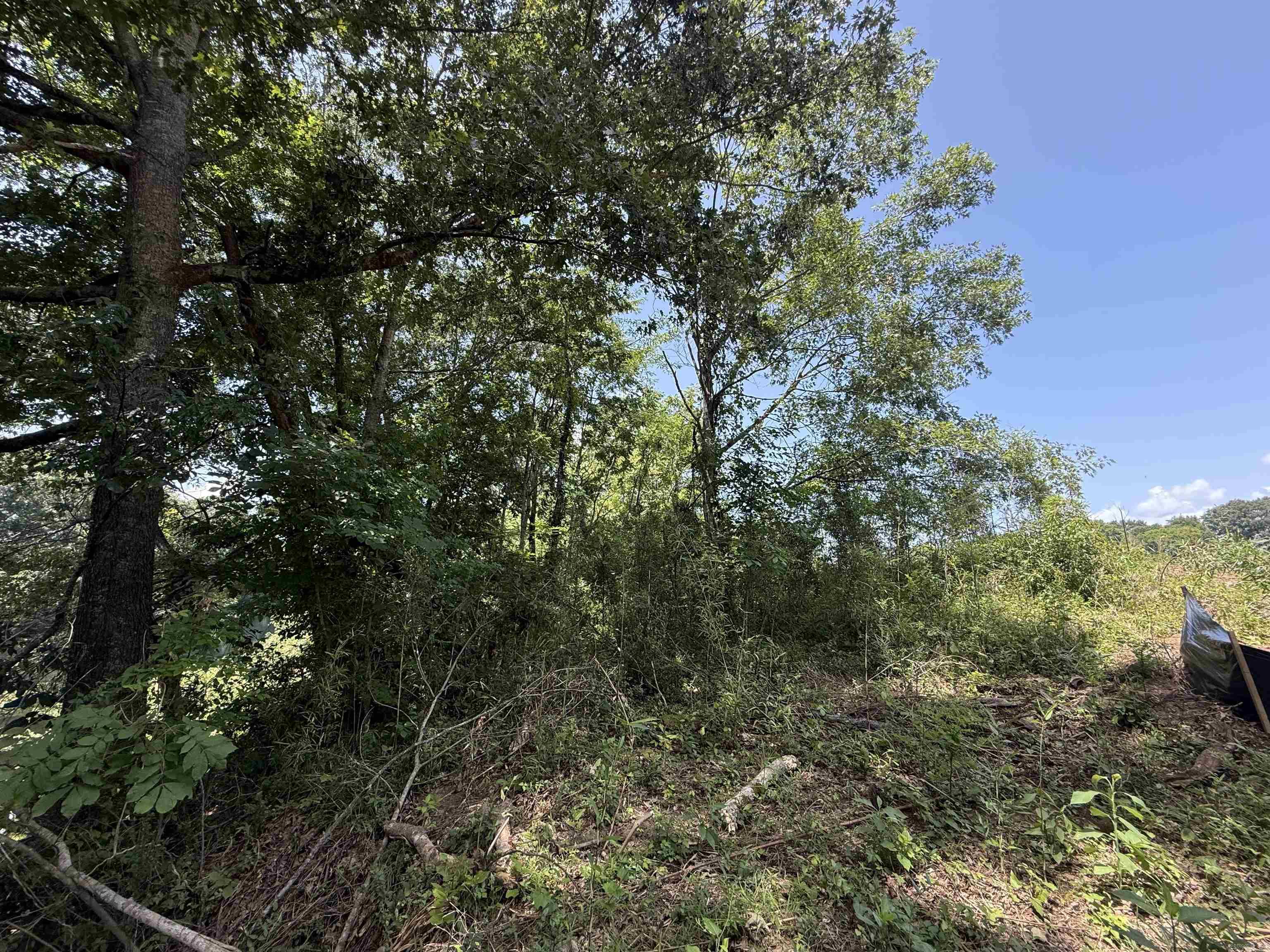 Lot 61 Down River  Heber Springs, AR