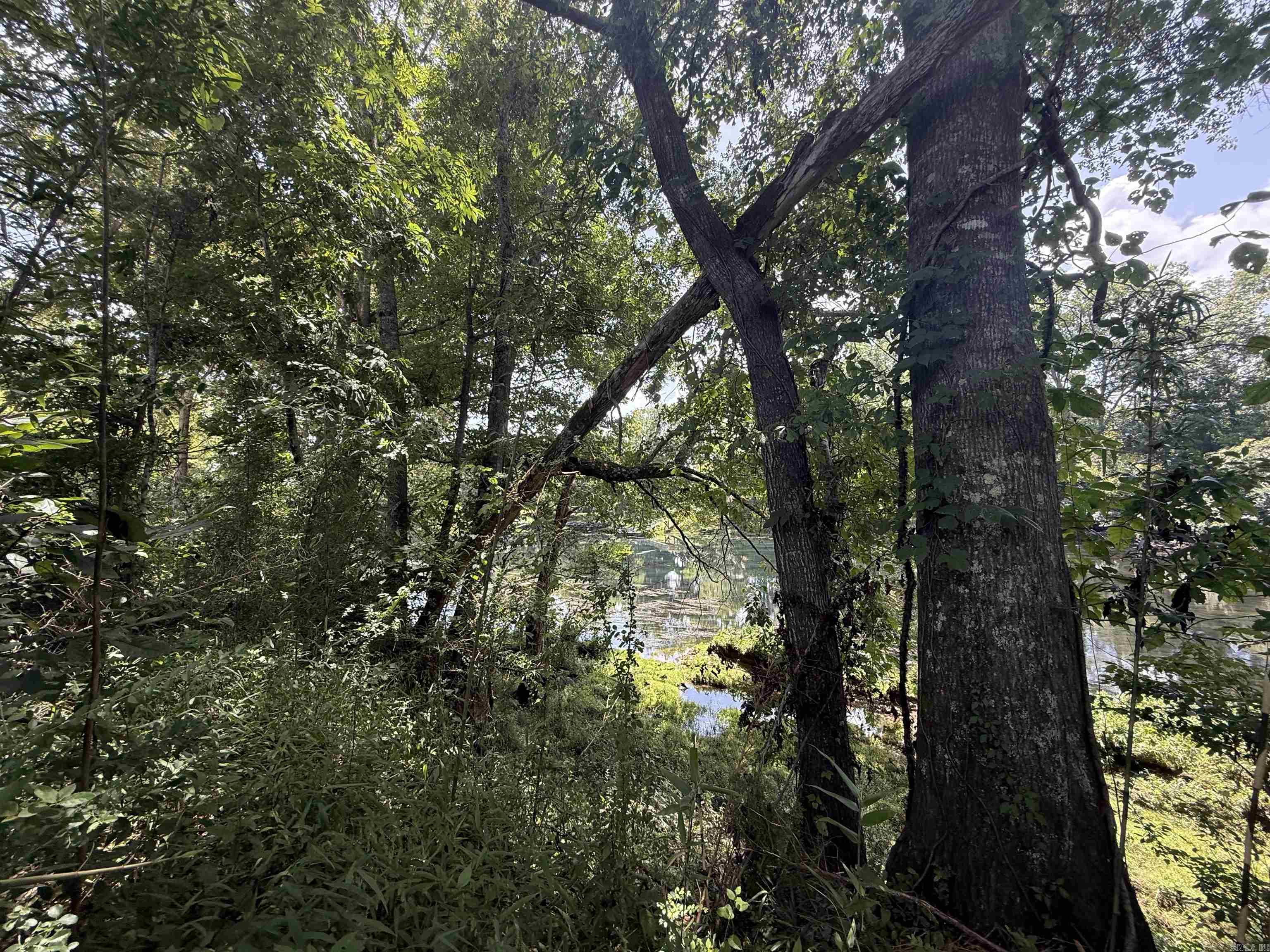 Lot 61 Down River  Heber Springs, AR