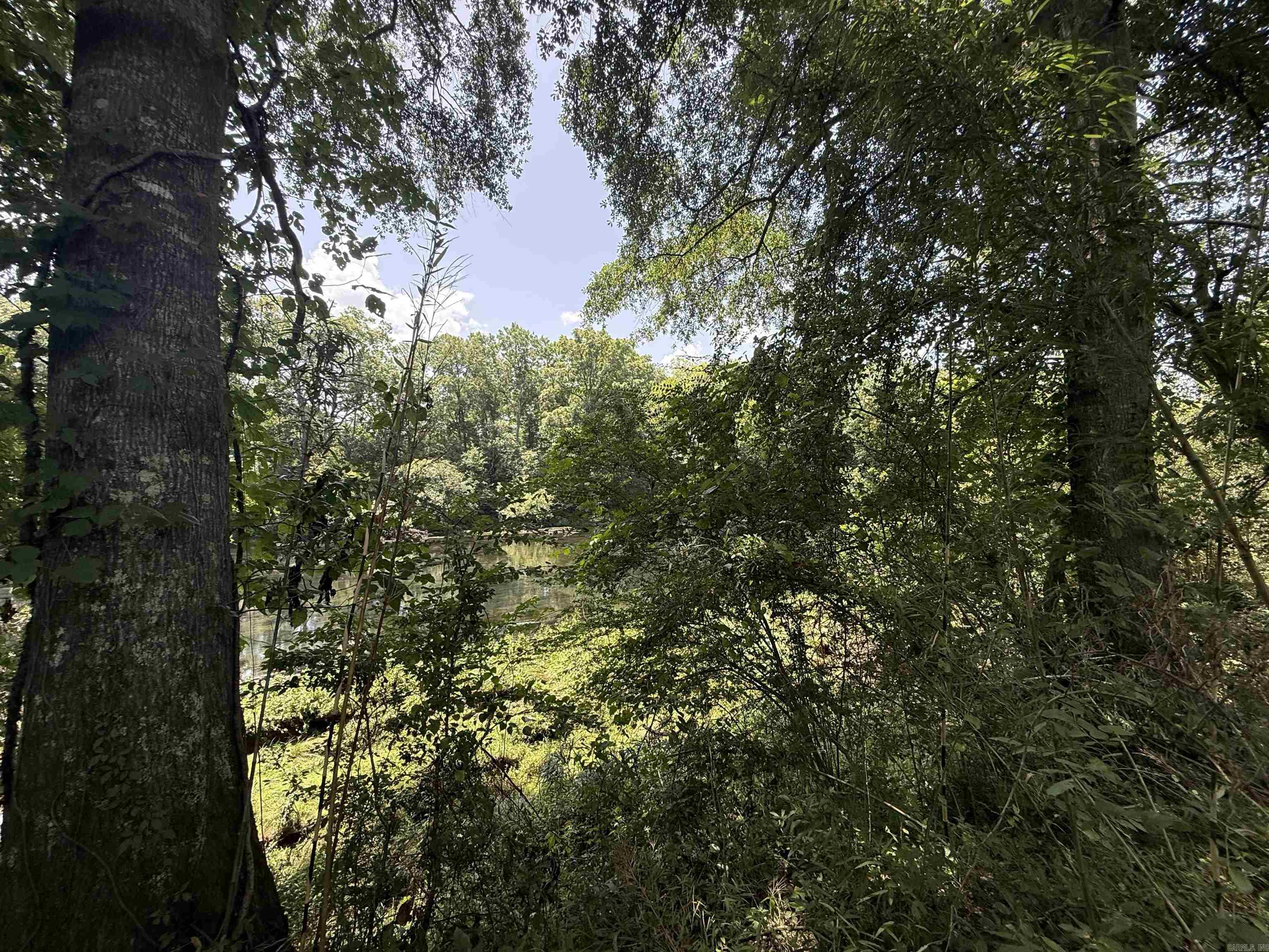 Lot 61 Down River  Heber Springs, AR