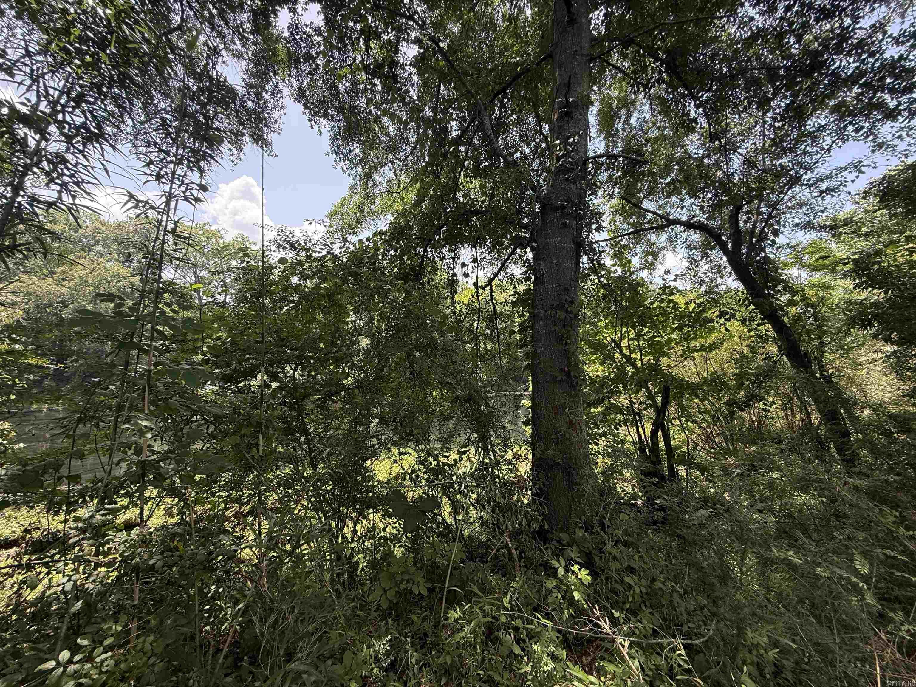 Lot 62 Down River  Heber Springs, AR
