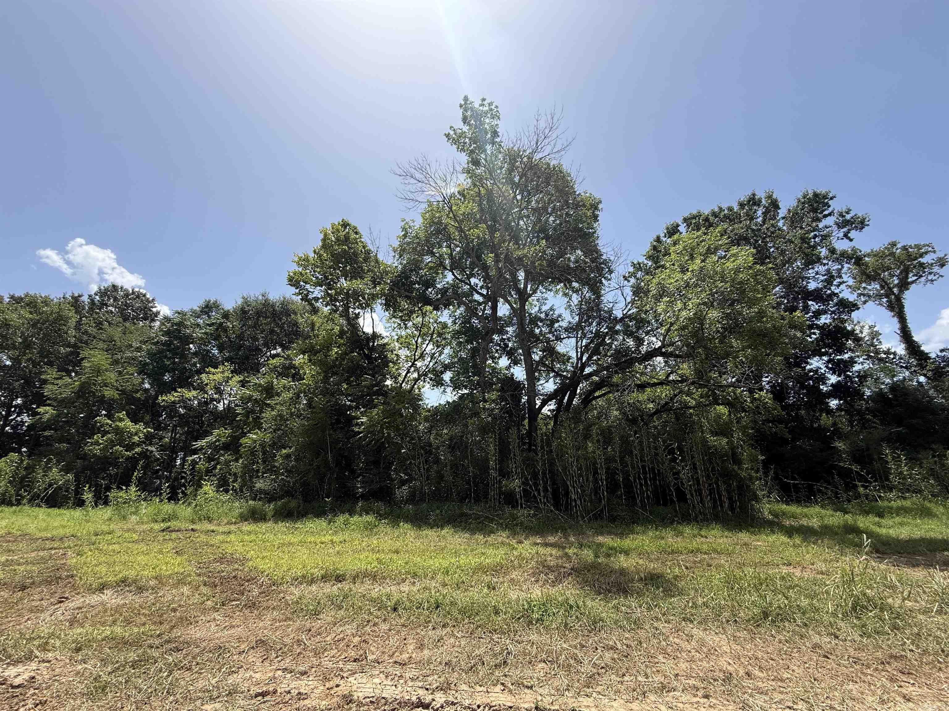 Lot 62 Down River  Heber Springs, AR