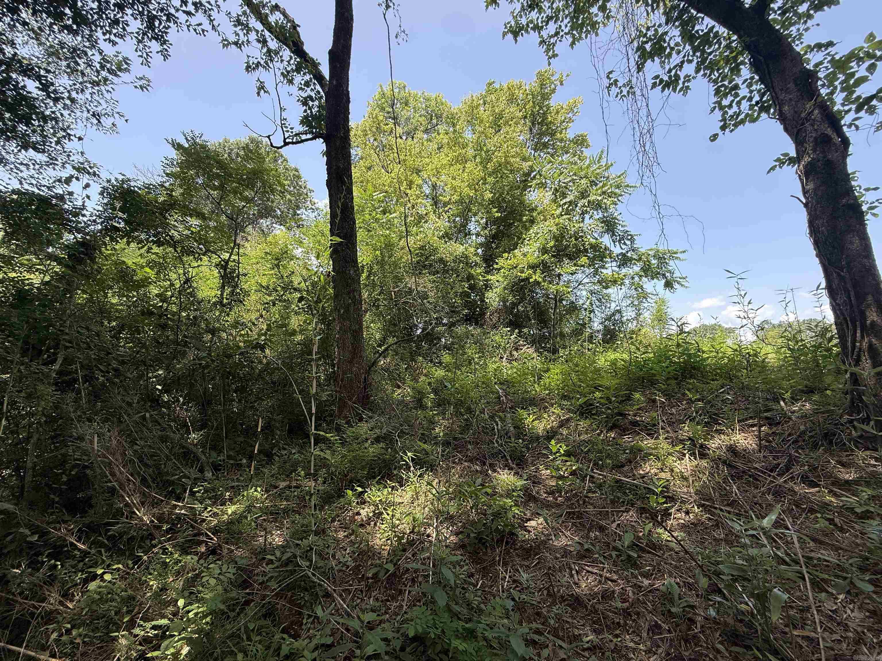 Lot 62 Down River  Heber Springs, AR
