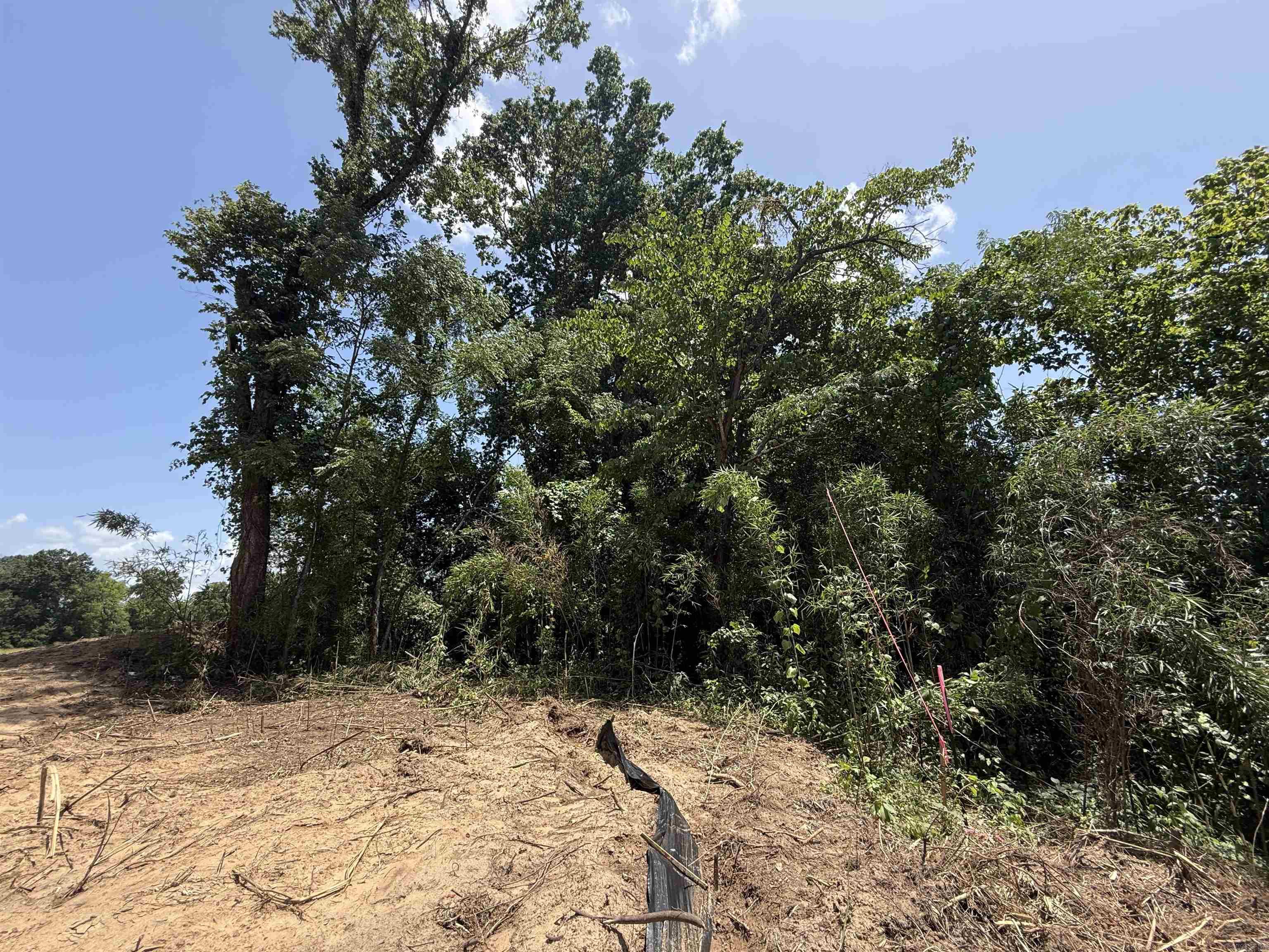 Lot 63 Down River  Heber Springs, AR