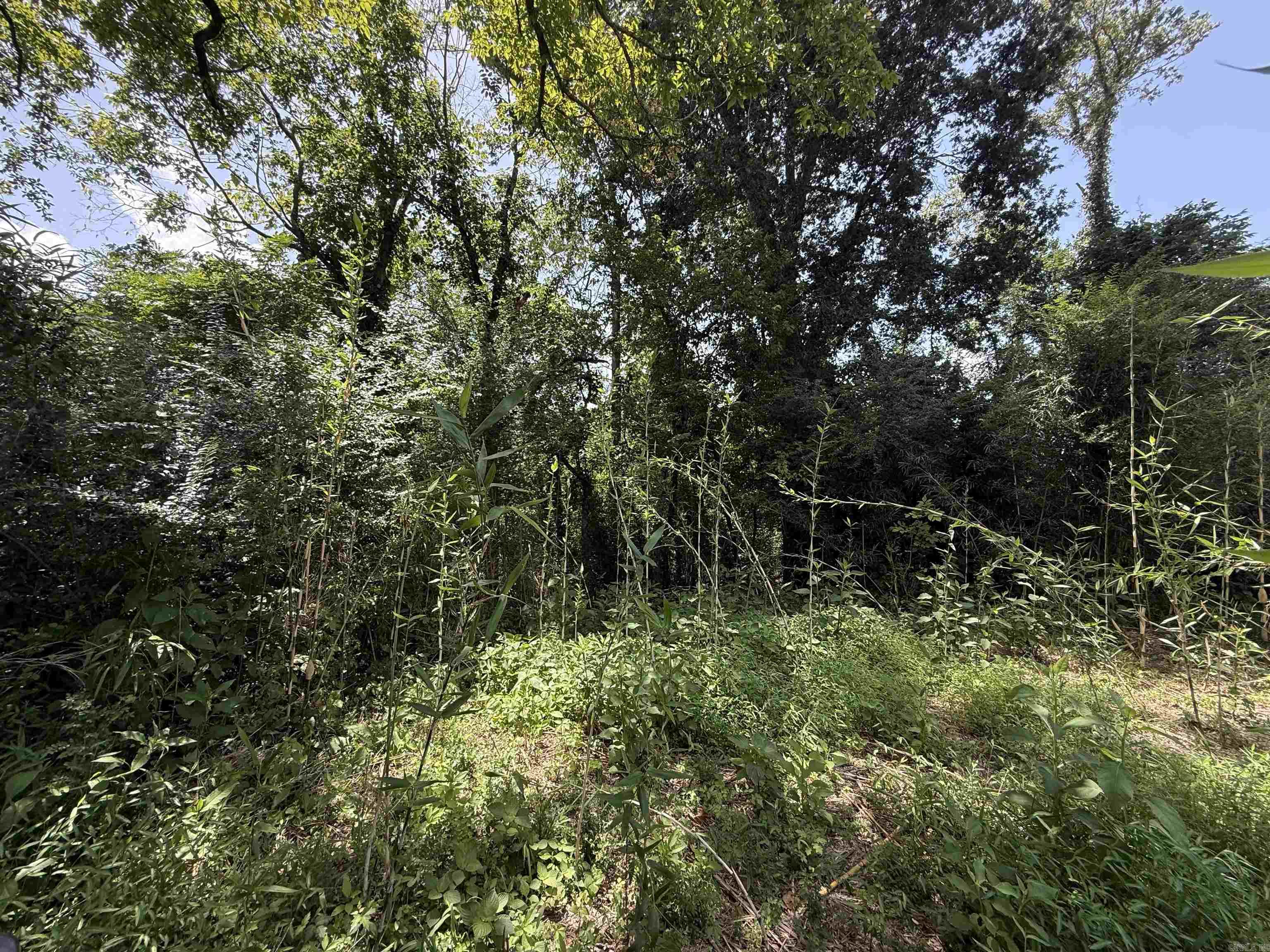Lot 63 Down River  Heber Springs, AR