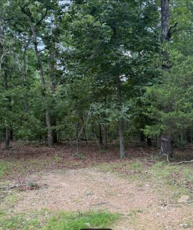 Lots 9 & 10 Tuscon Ln  Viola, AR