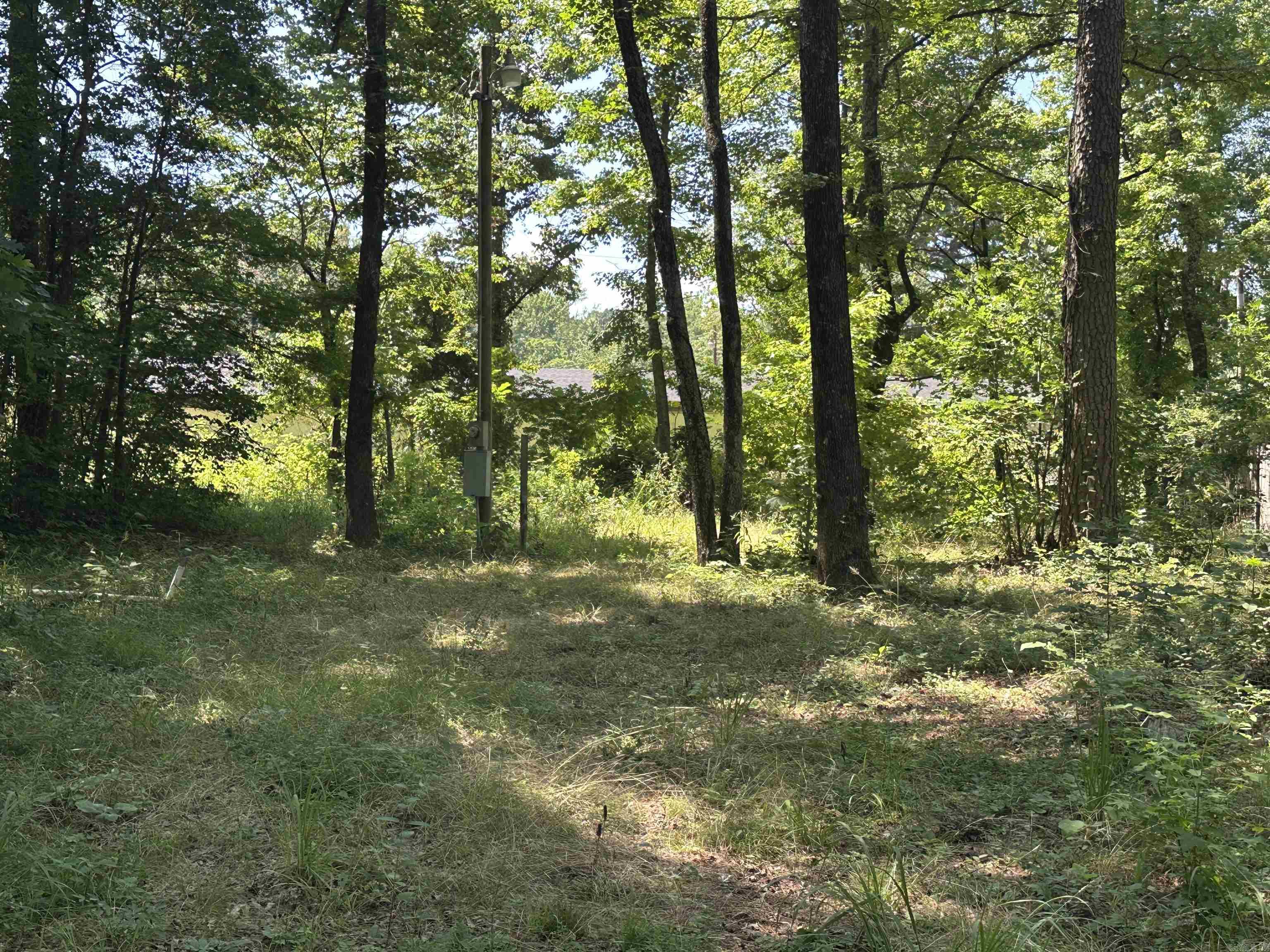 1627 Petit Jean Mountain  Morrilton, AR