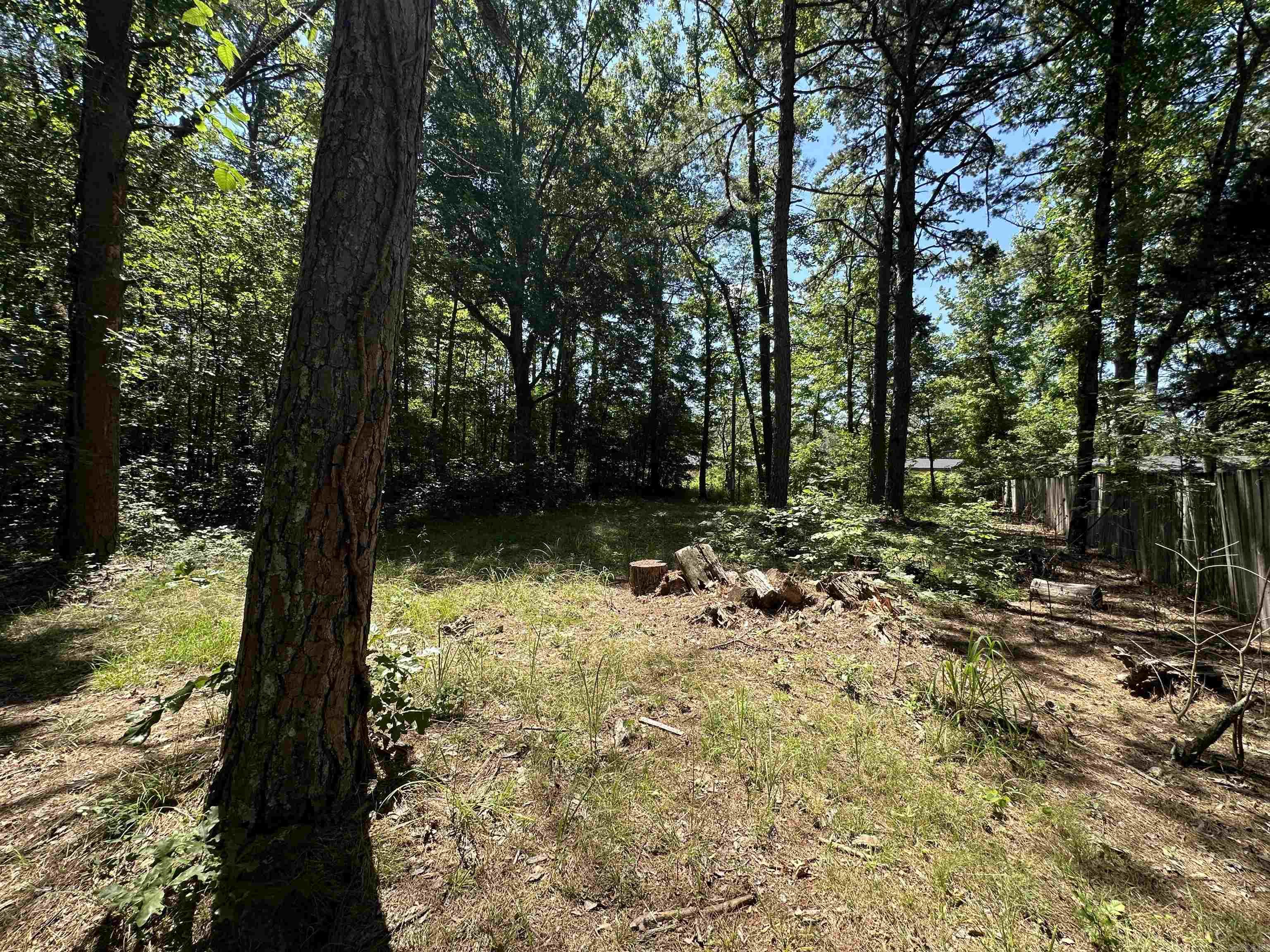 1627 Petit Jean Mountain  Morrilton, AR