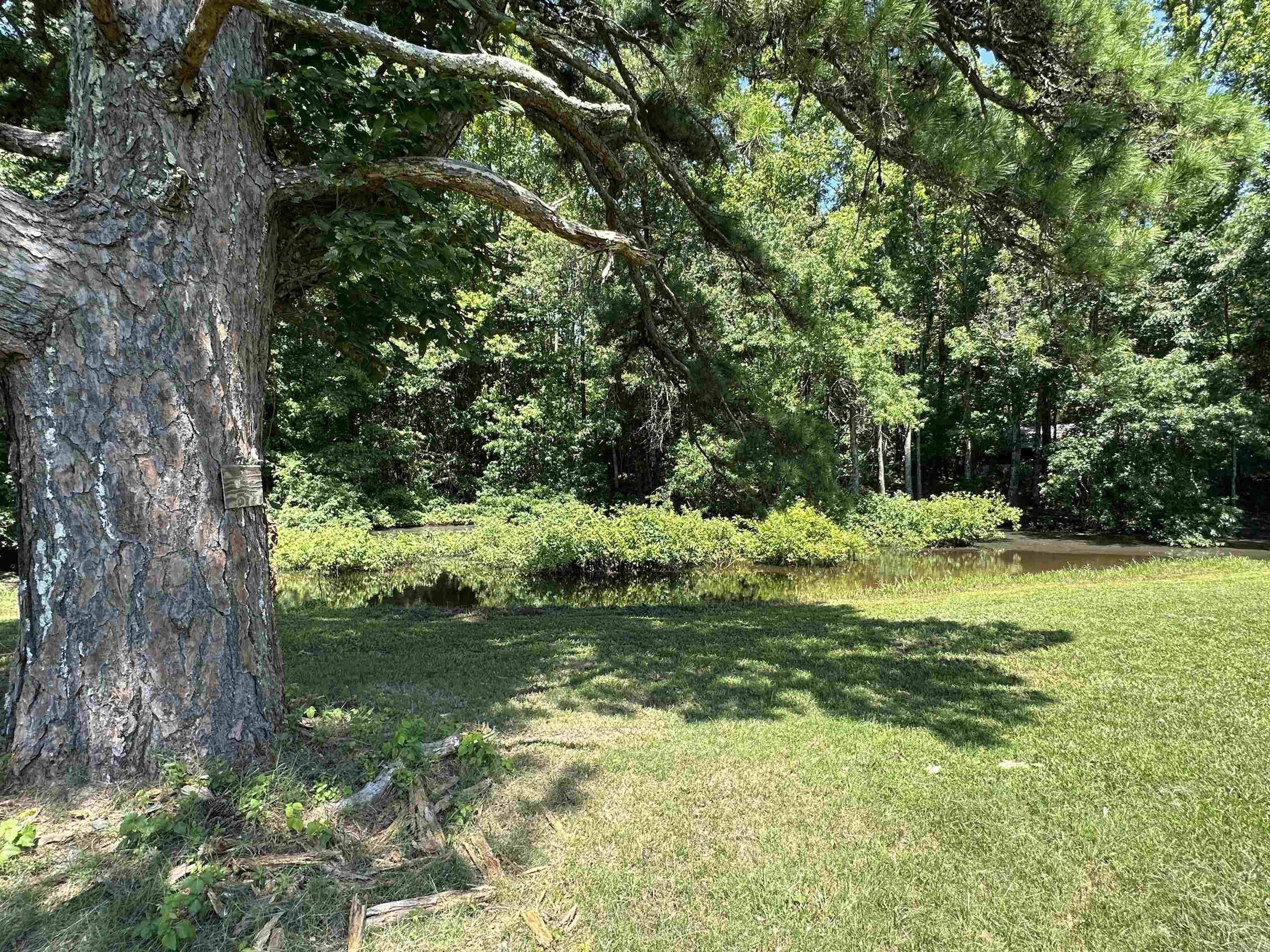 1627 Petit Jean Mountain  Morrilton, AR