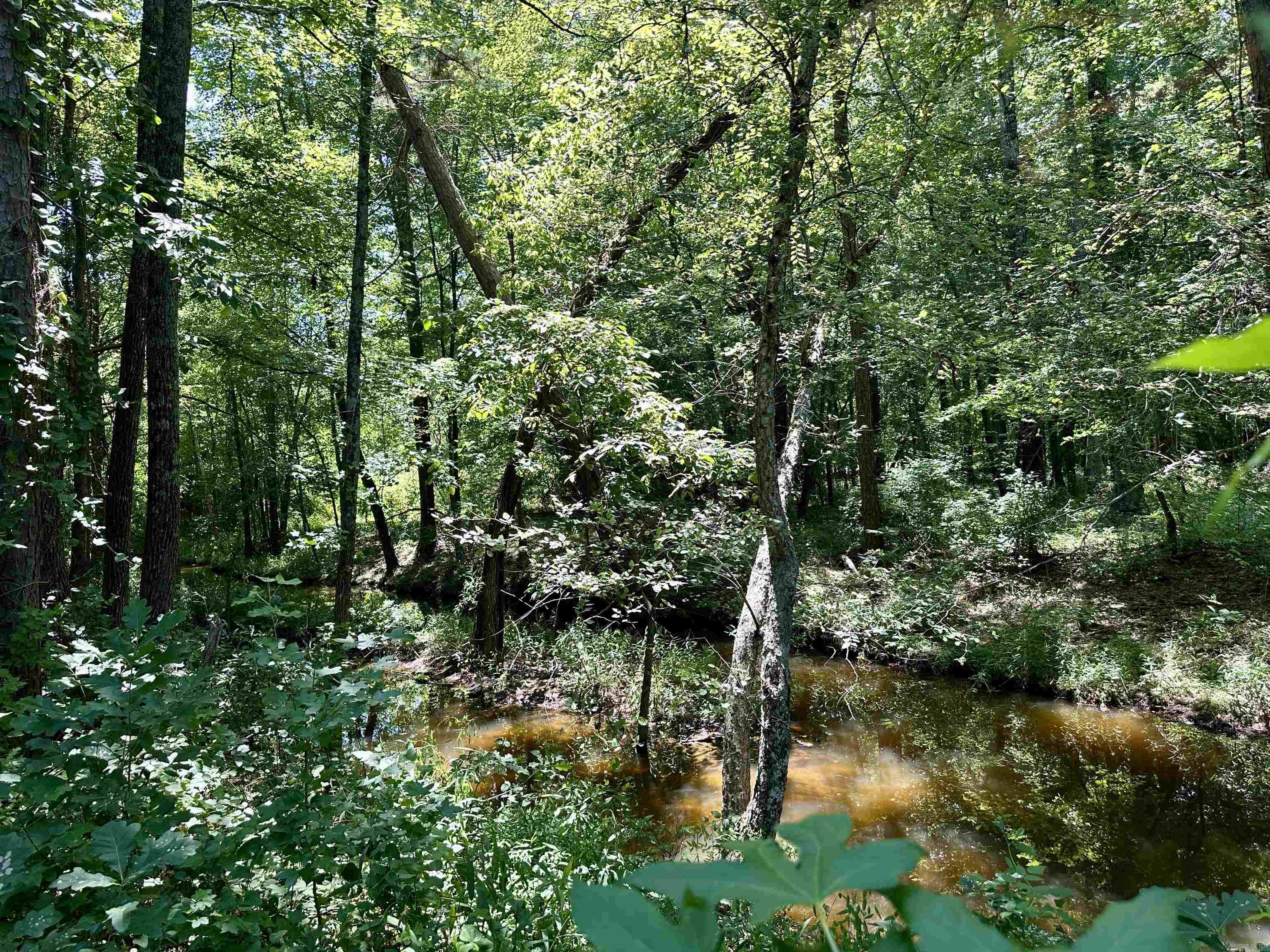 1627 Petit Jean Mountain  Morrilton, AR