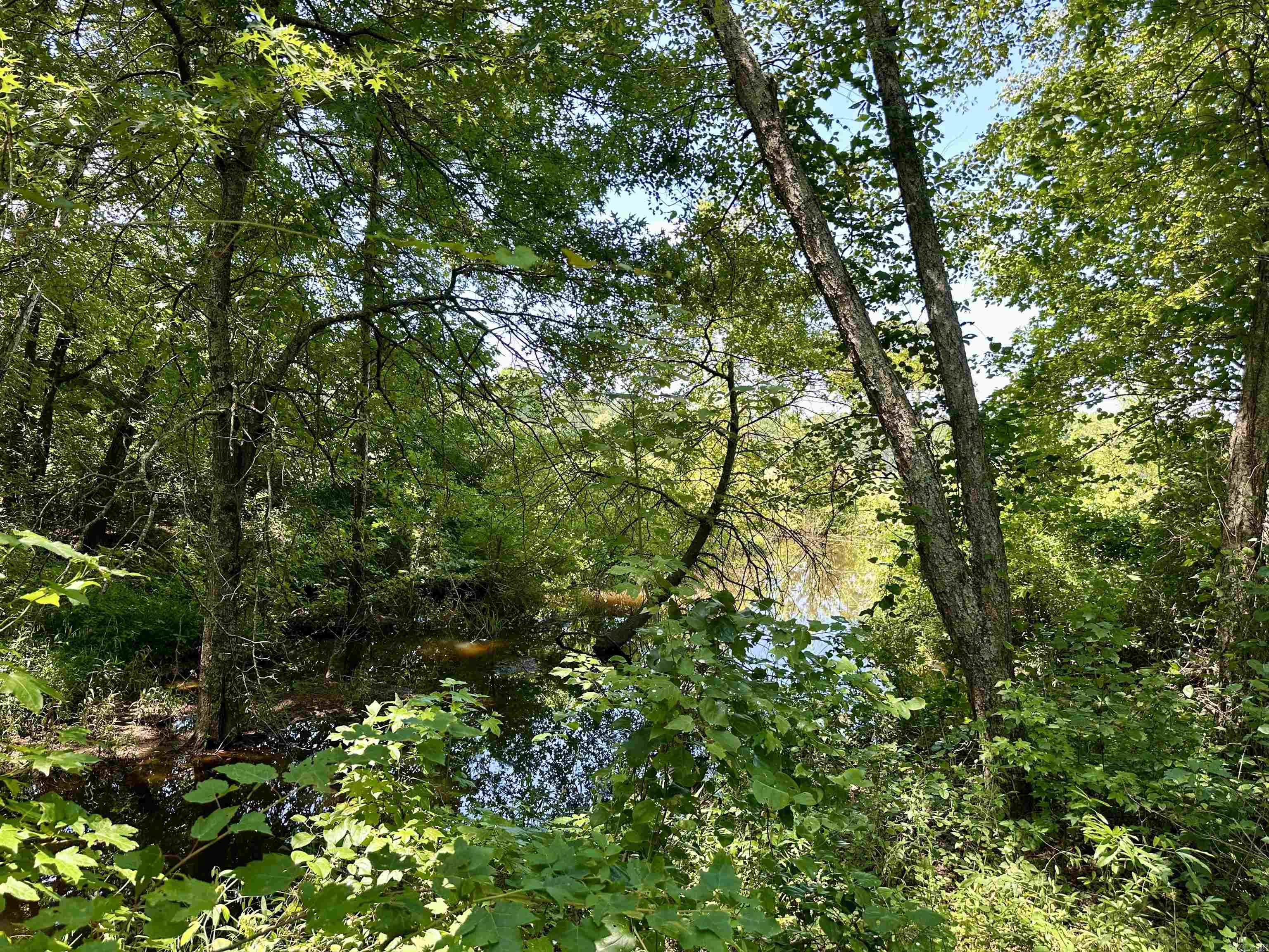 1627 Petit Jean Mountain  Morrilton, AR