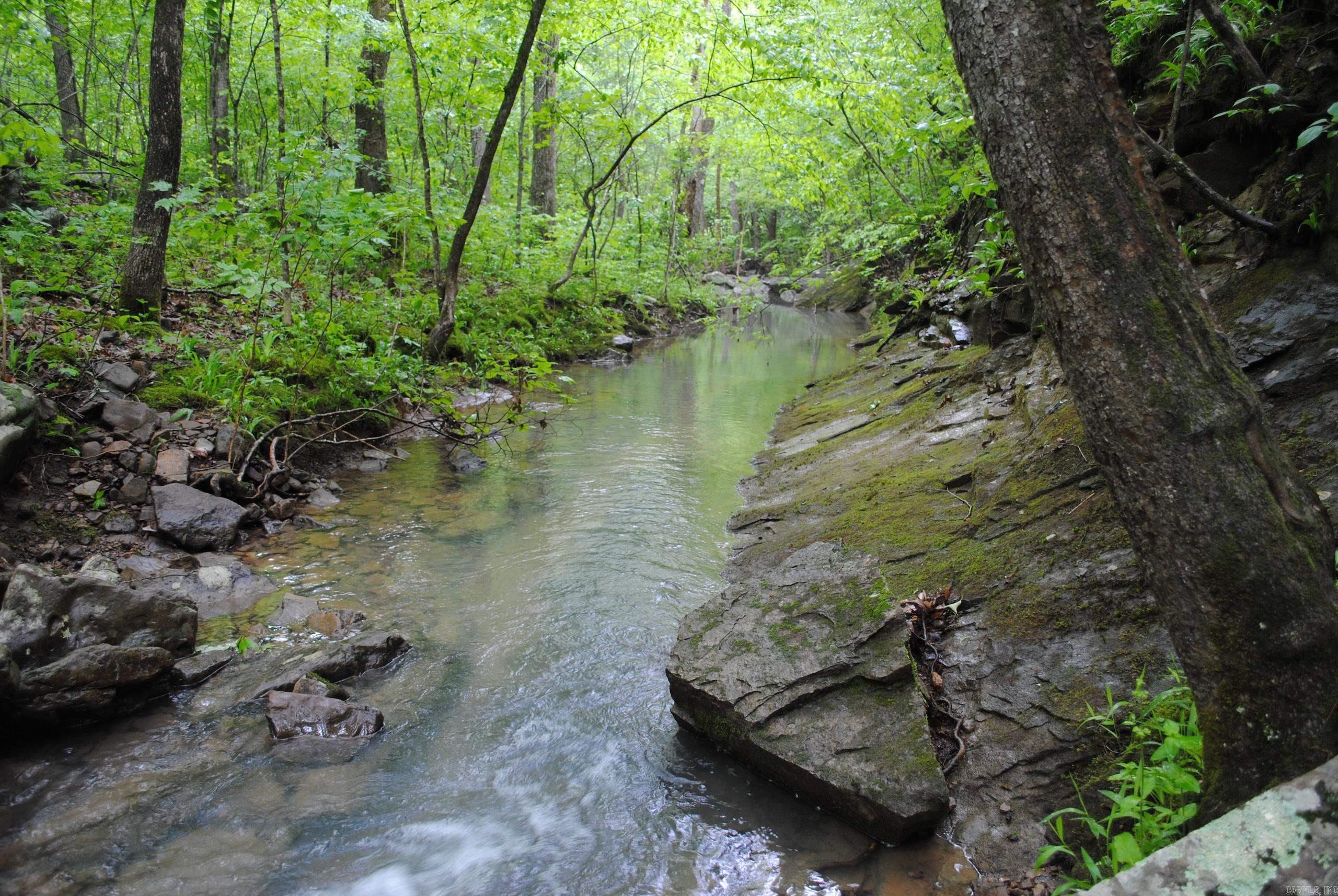 996 Slick Rock Ford Road  Scotland, AR