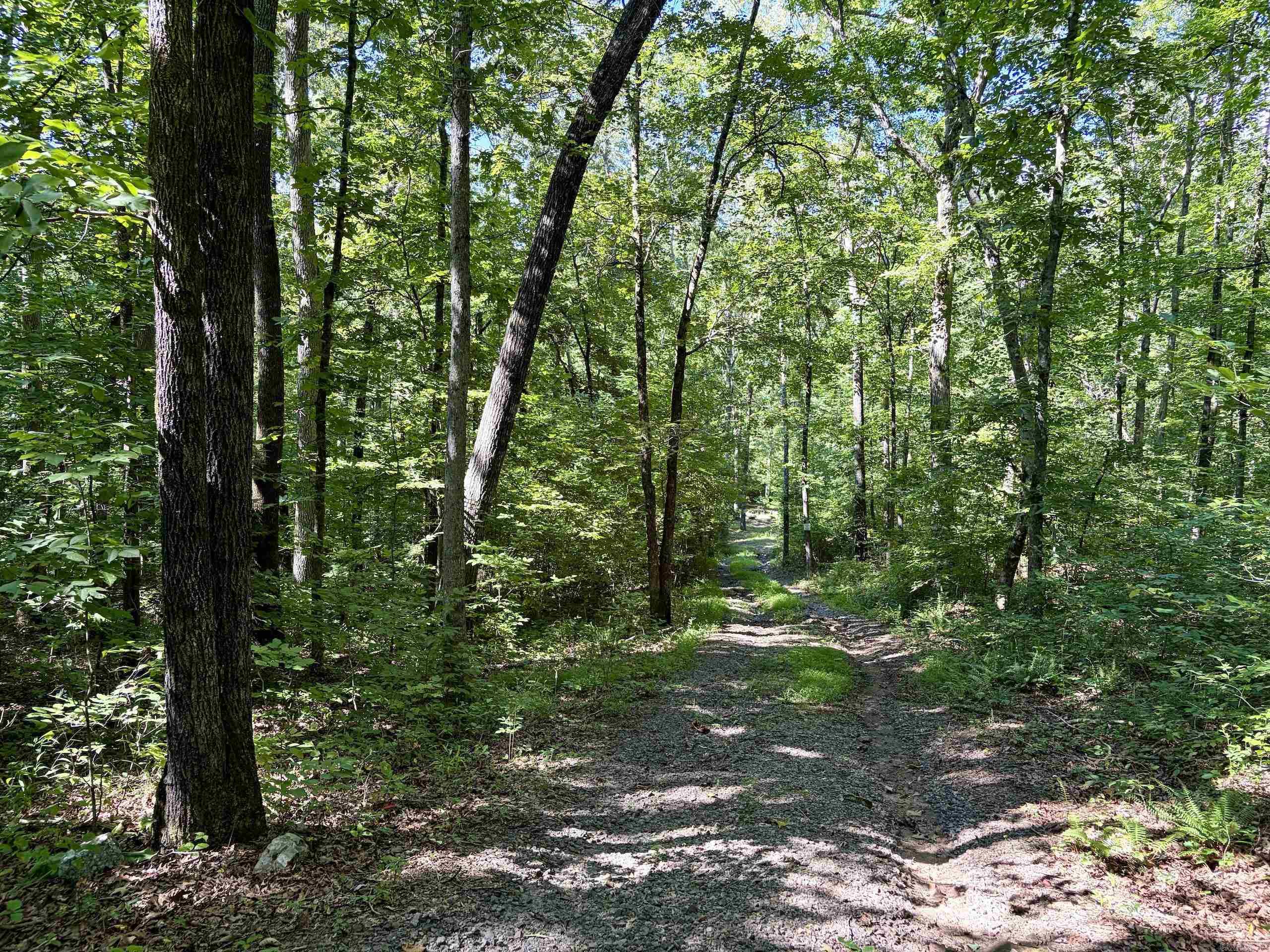 996 Slick Rock Ford Road  Scotland, AR