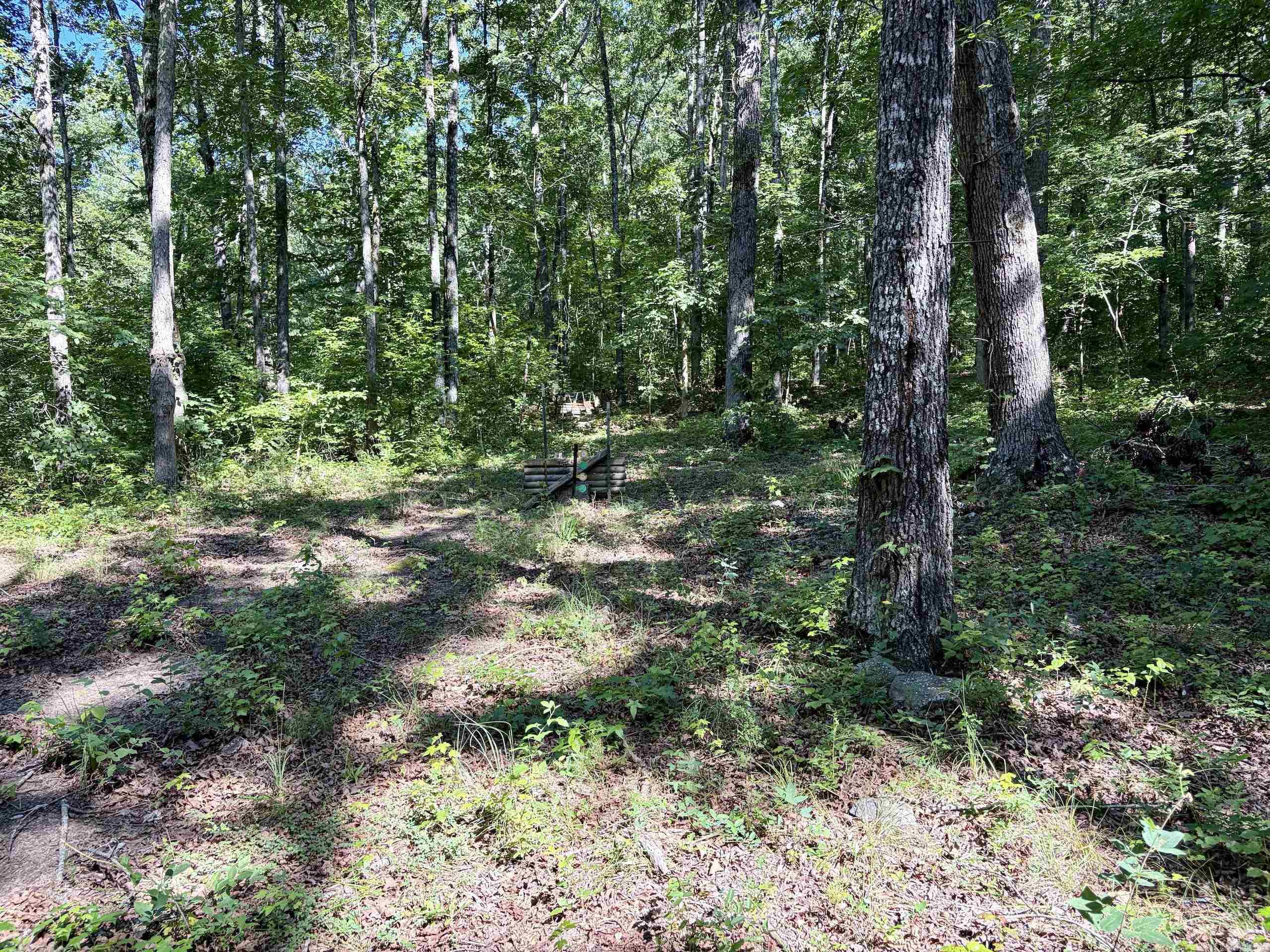 996 Slick Rock Ford Road  Scotland, AR