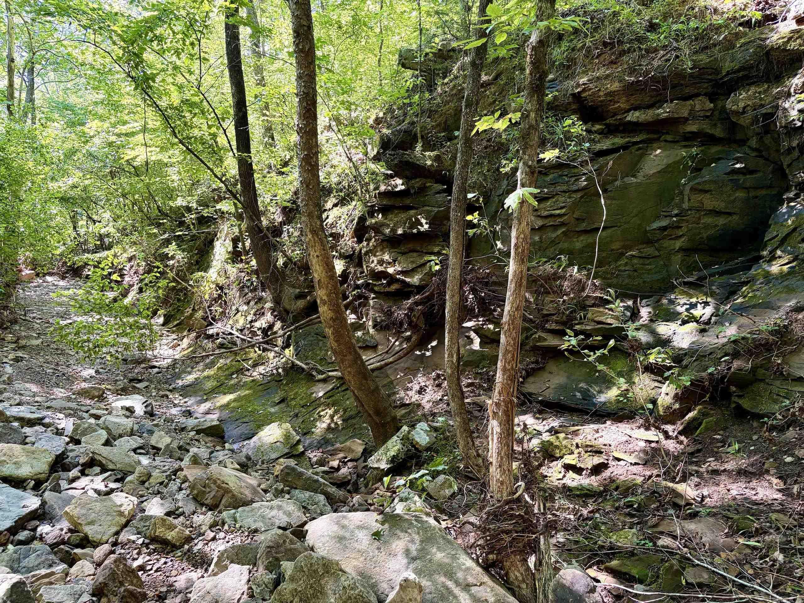 996 Slick Rock Ford Road  Scotland, AR