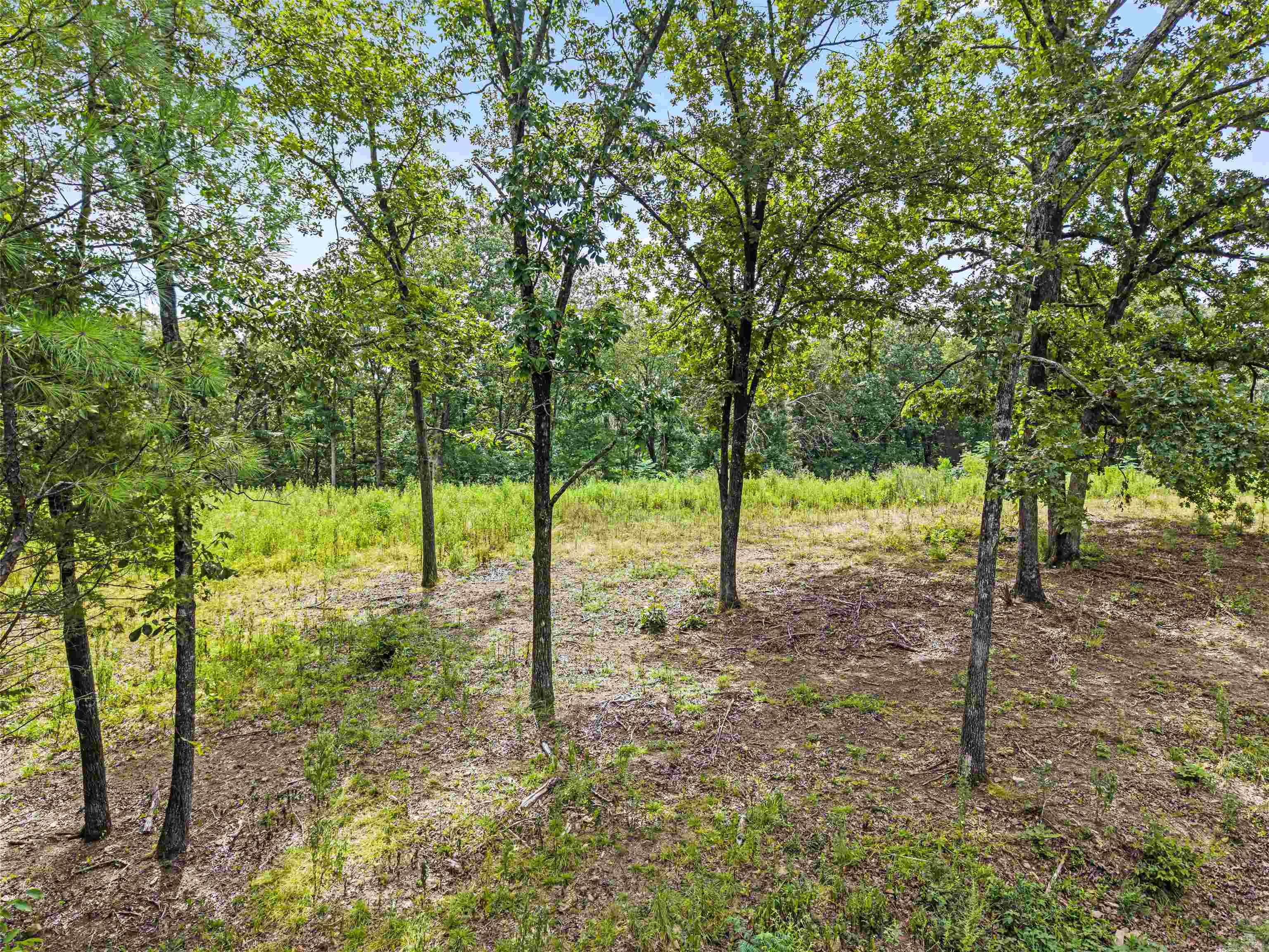 410 Cain and Bradford  Hot Springs, AR