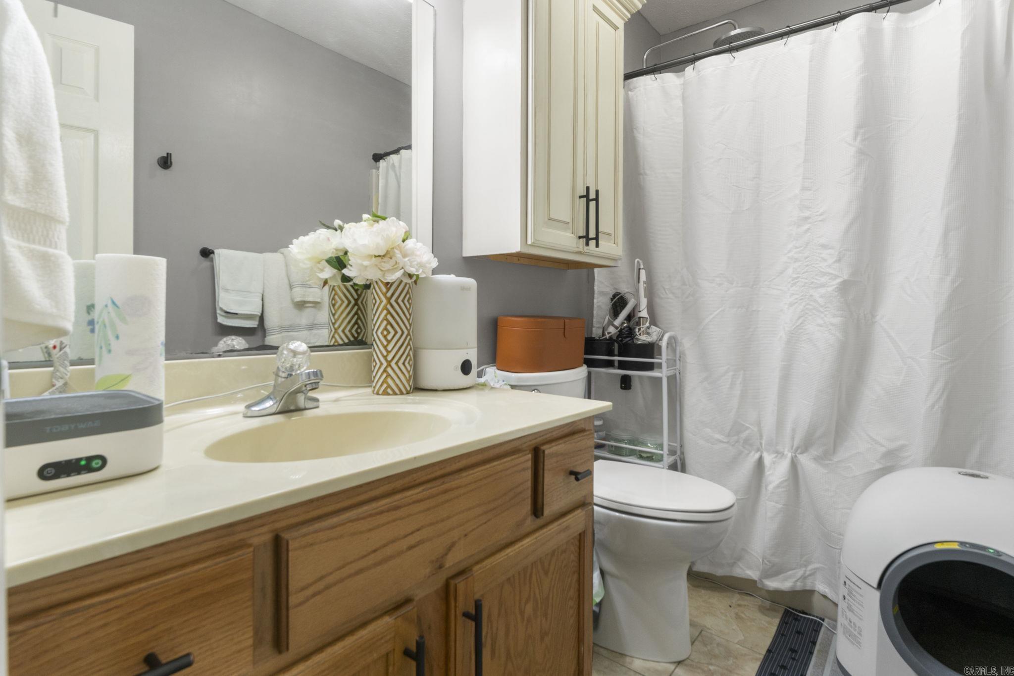 295 Niagra Falls Conway, AR 72032