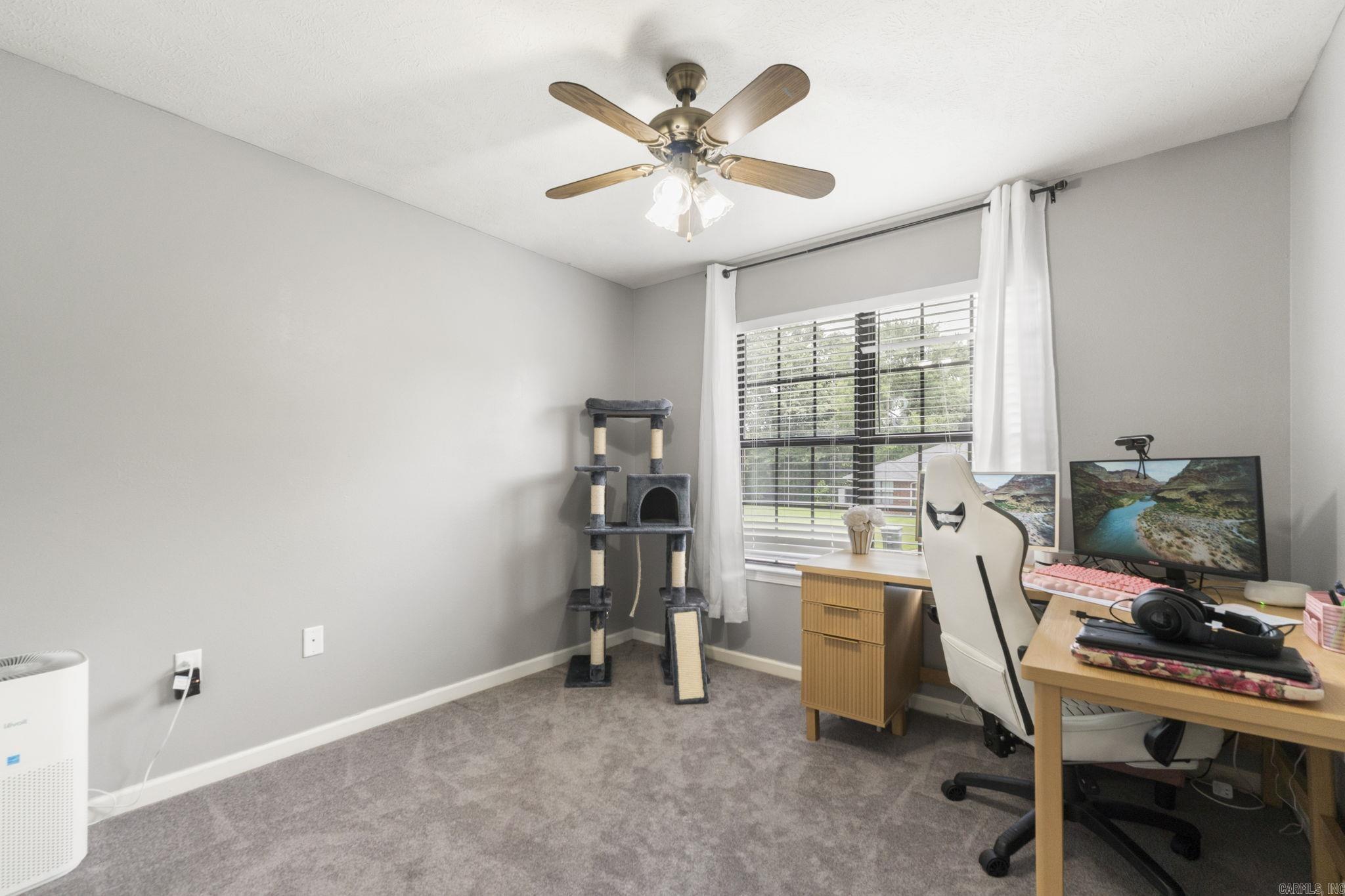 295 Niagra Falls Conway, AR 72032