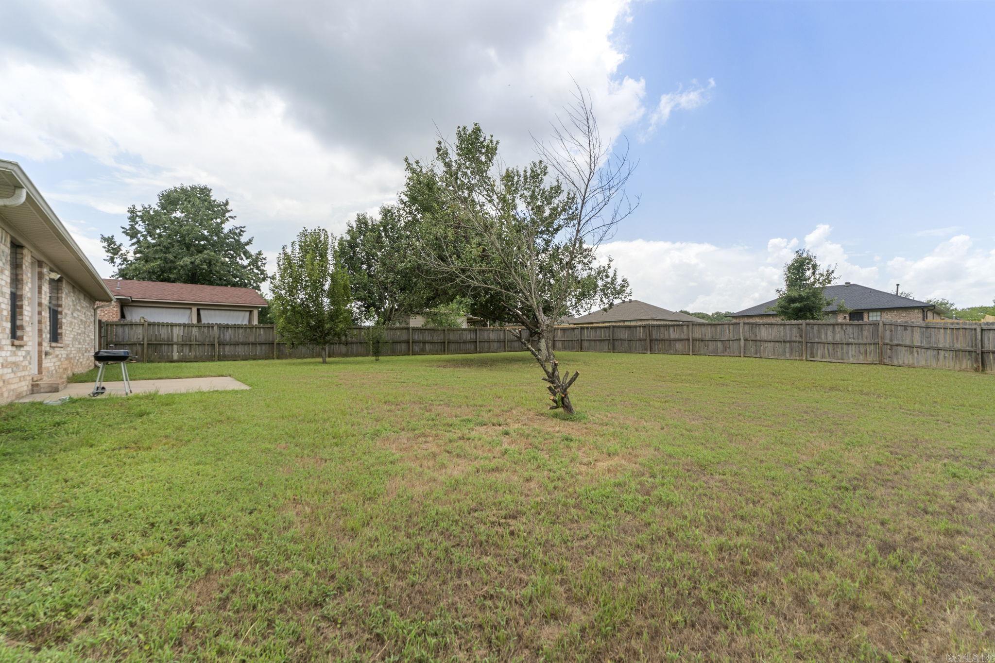 295 Niagra Falls Conway, AR 72032