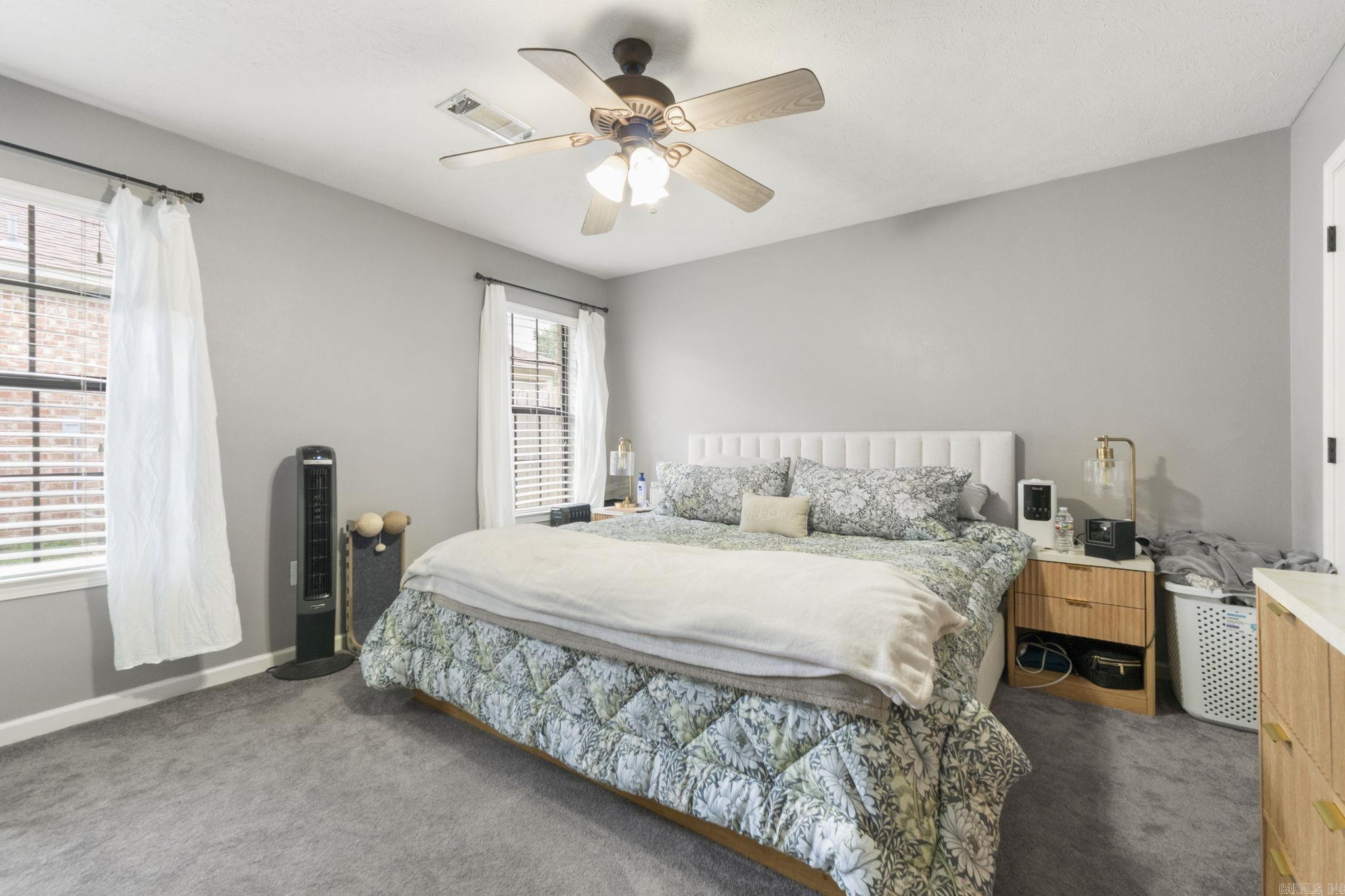 295 Niagra Falls Conway, AR 72032