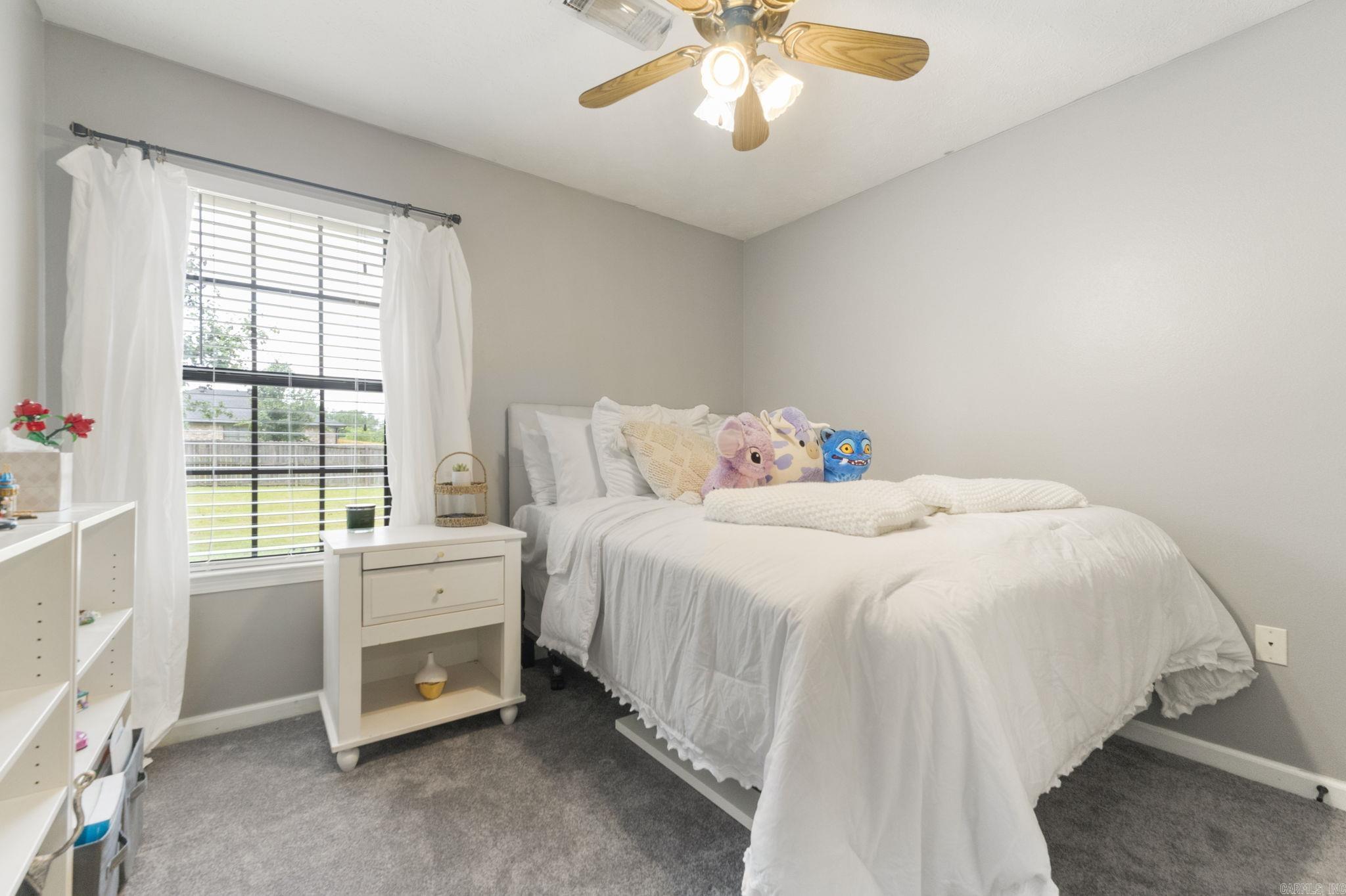 295 Niagra Falls Conway, AR 72032