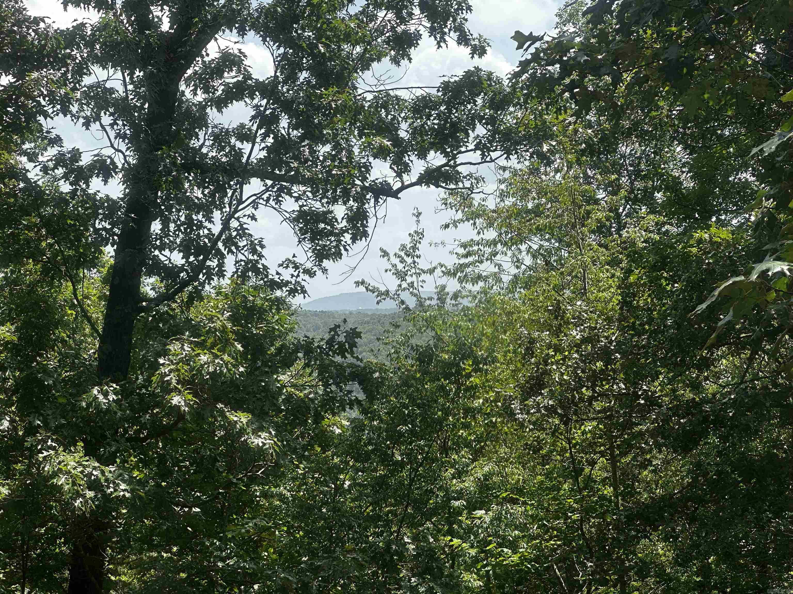 299 Buck Pond  Mountain View, AR