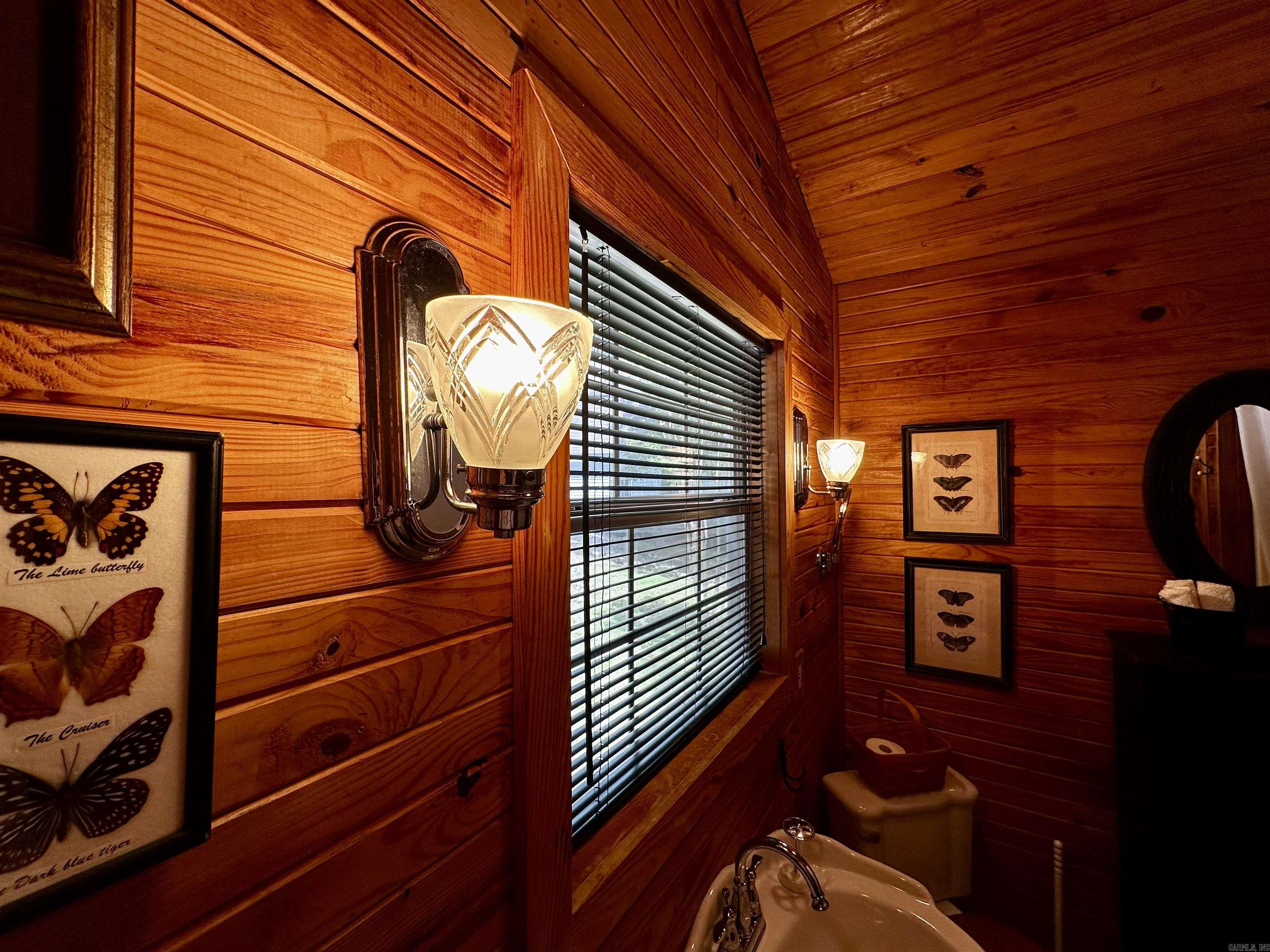 299 Buck Pond  Mountain View, AR