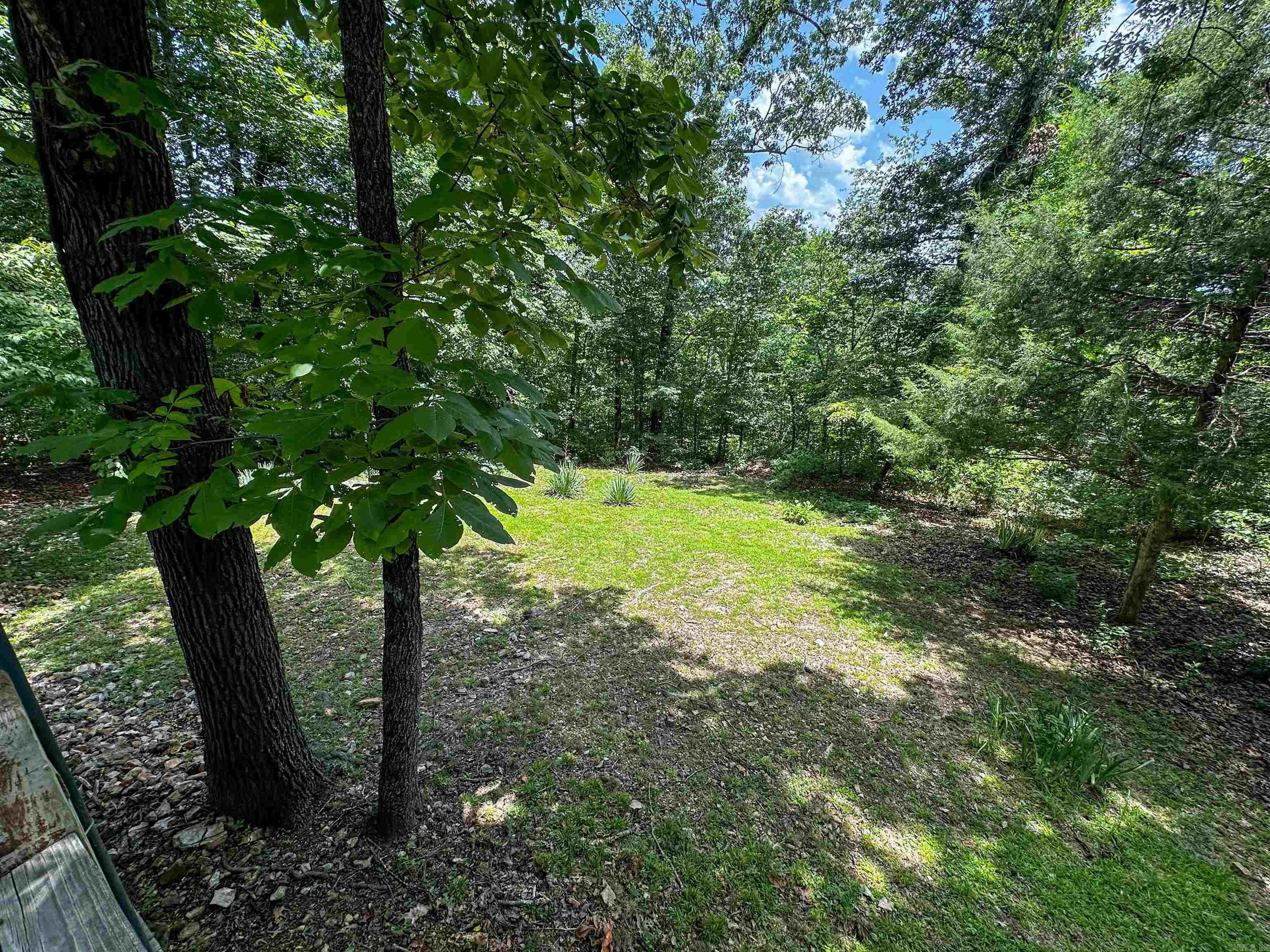 299 Buck Pond  Mountain View, AR
