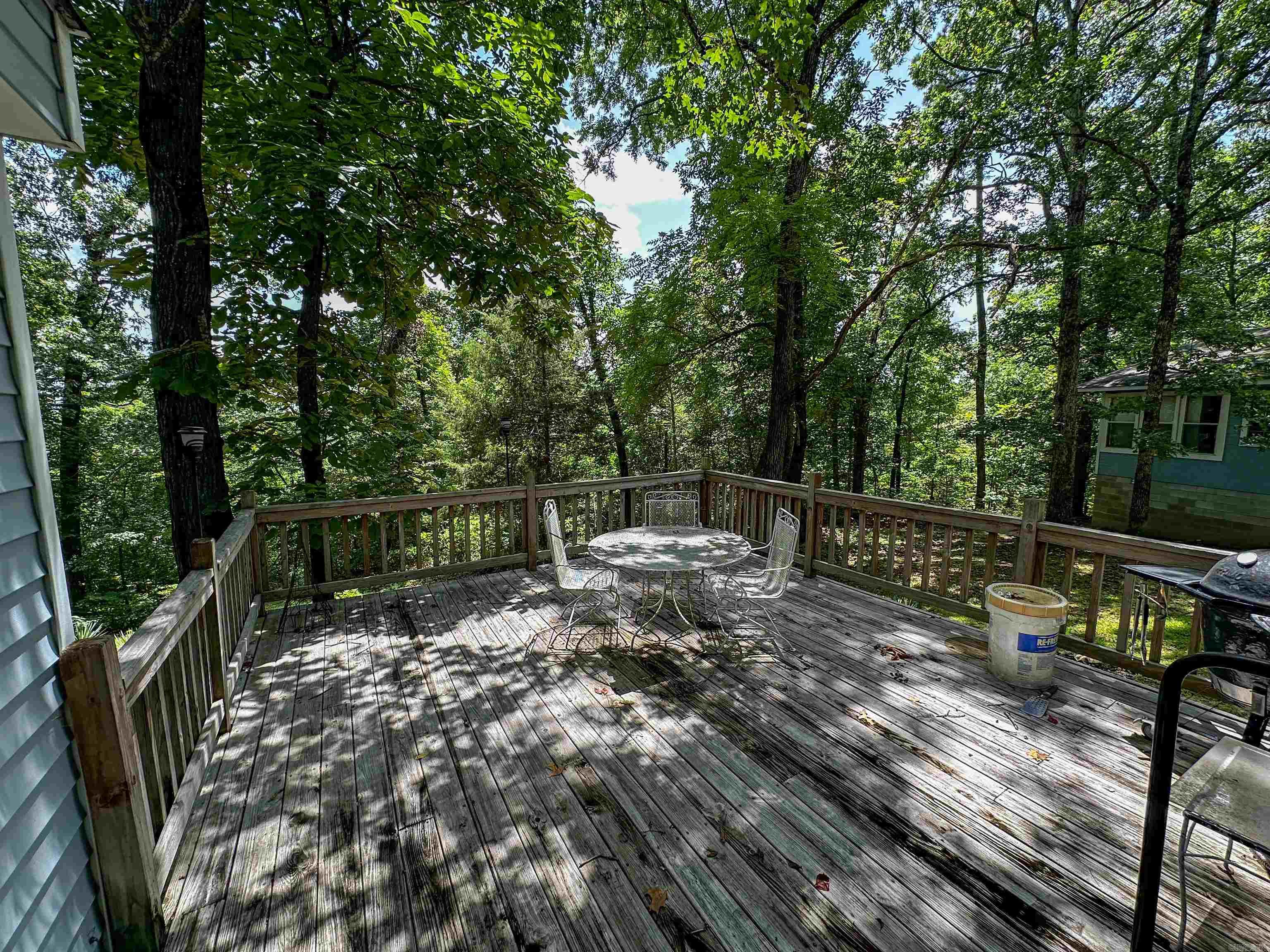299 Buck Pond  Mountain View, AR