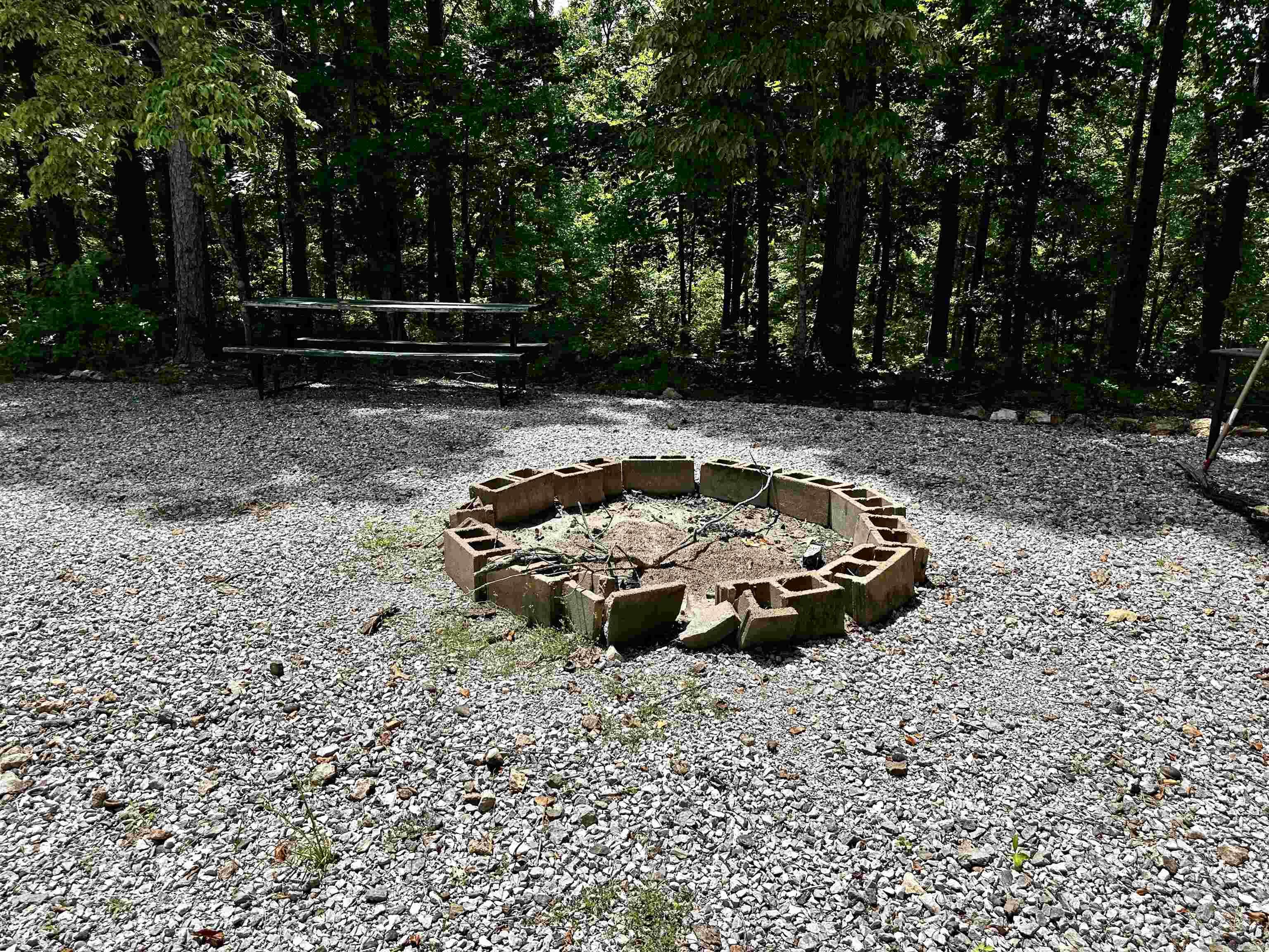 299 Buck Pond  Mountain View, AR