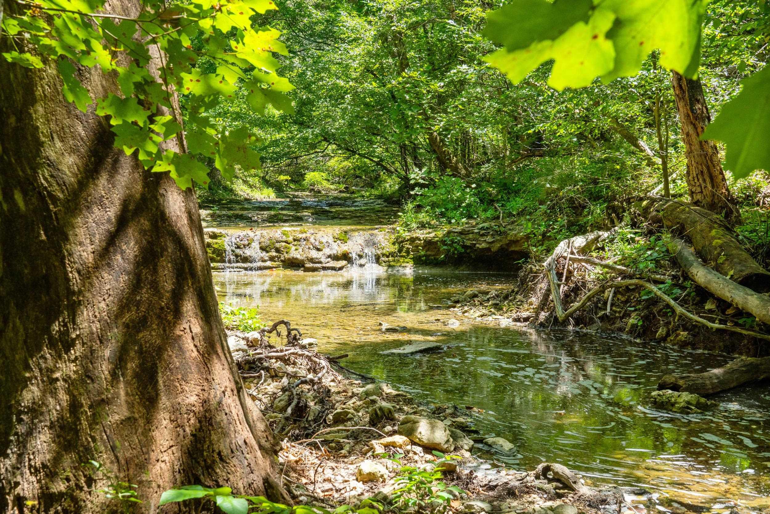 Tract 1-3 Rim Shoals Lane  Mountain Home, AR