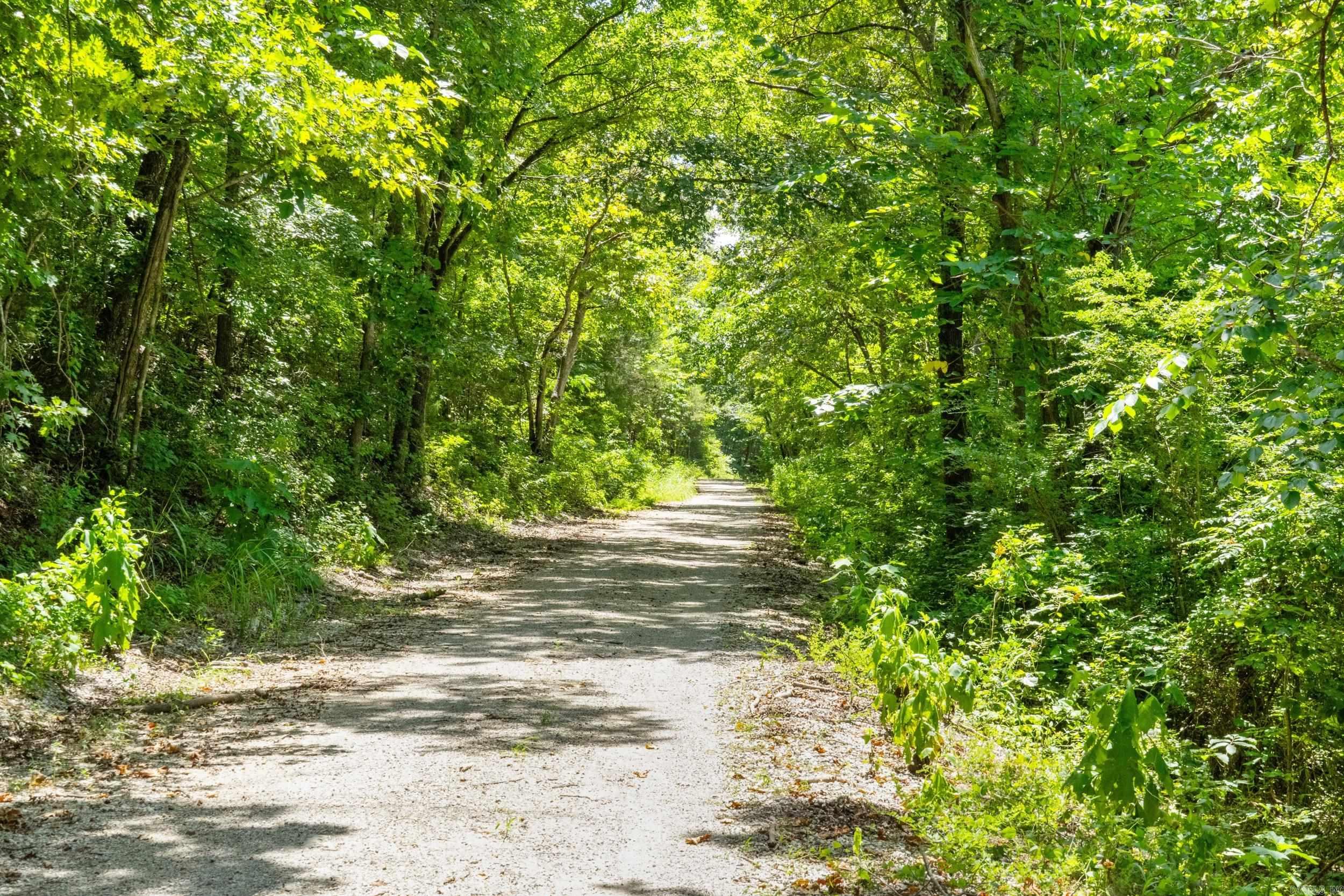 Tract 1-3 Rim Shoals Lane  Mountain Home, AR