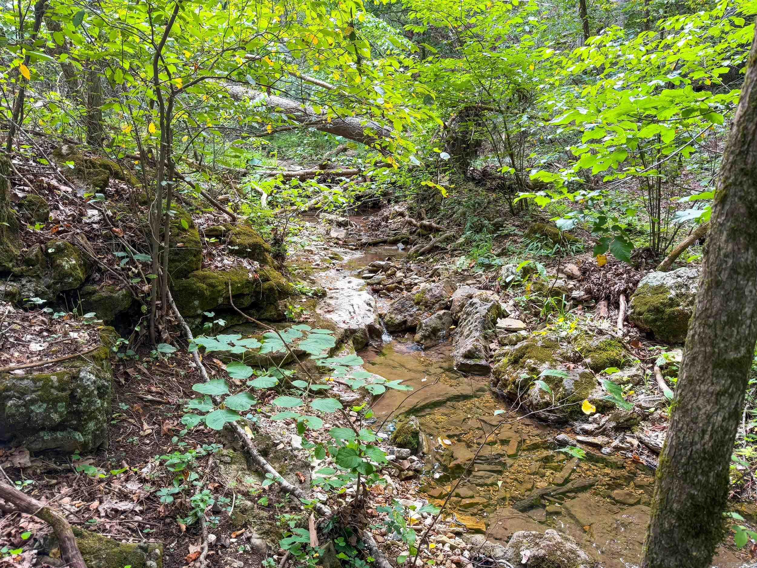 Tract 1-3 Rim Shoals Lane  Mountain Home, AR