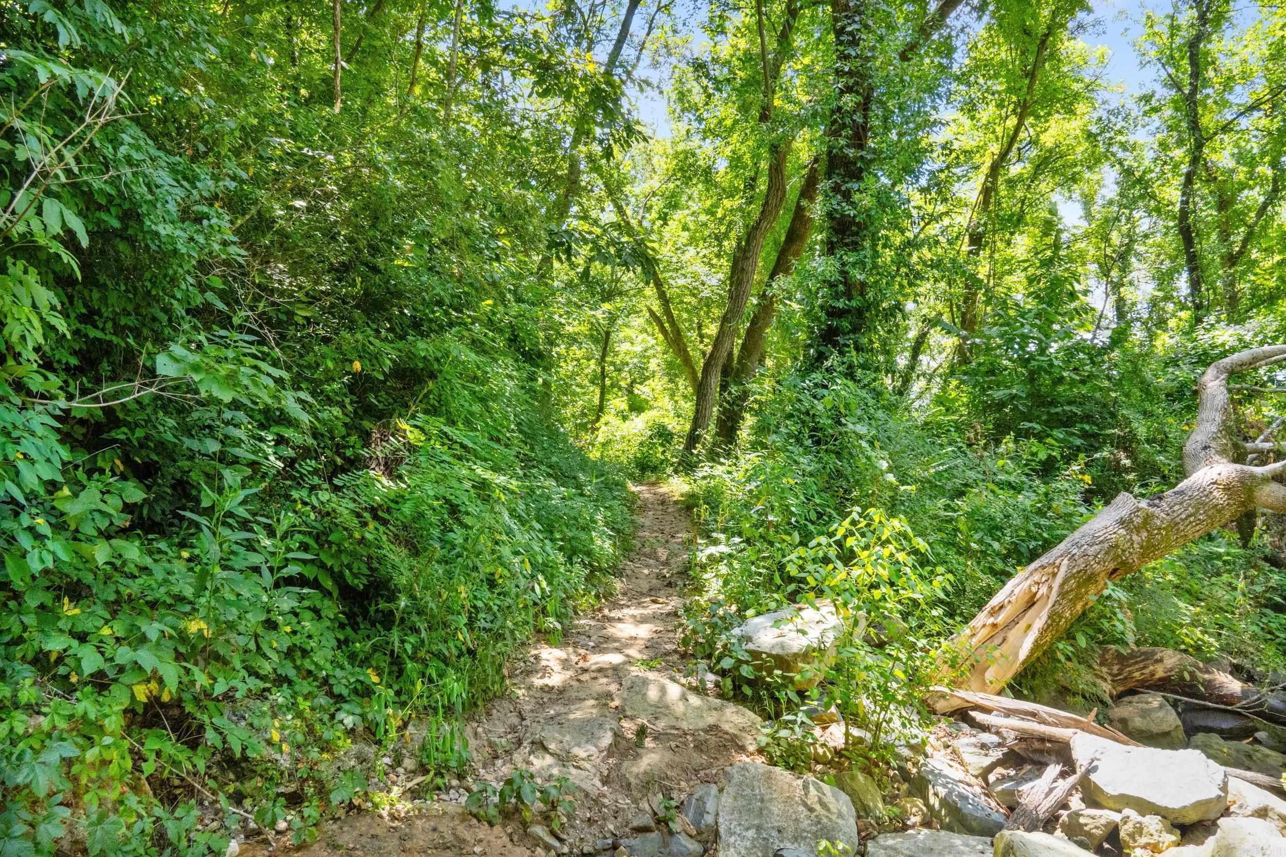 Tract 1-3 Rim Shoals Lane  Mountain Home, AR