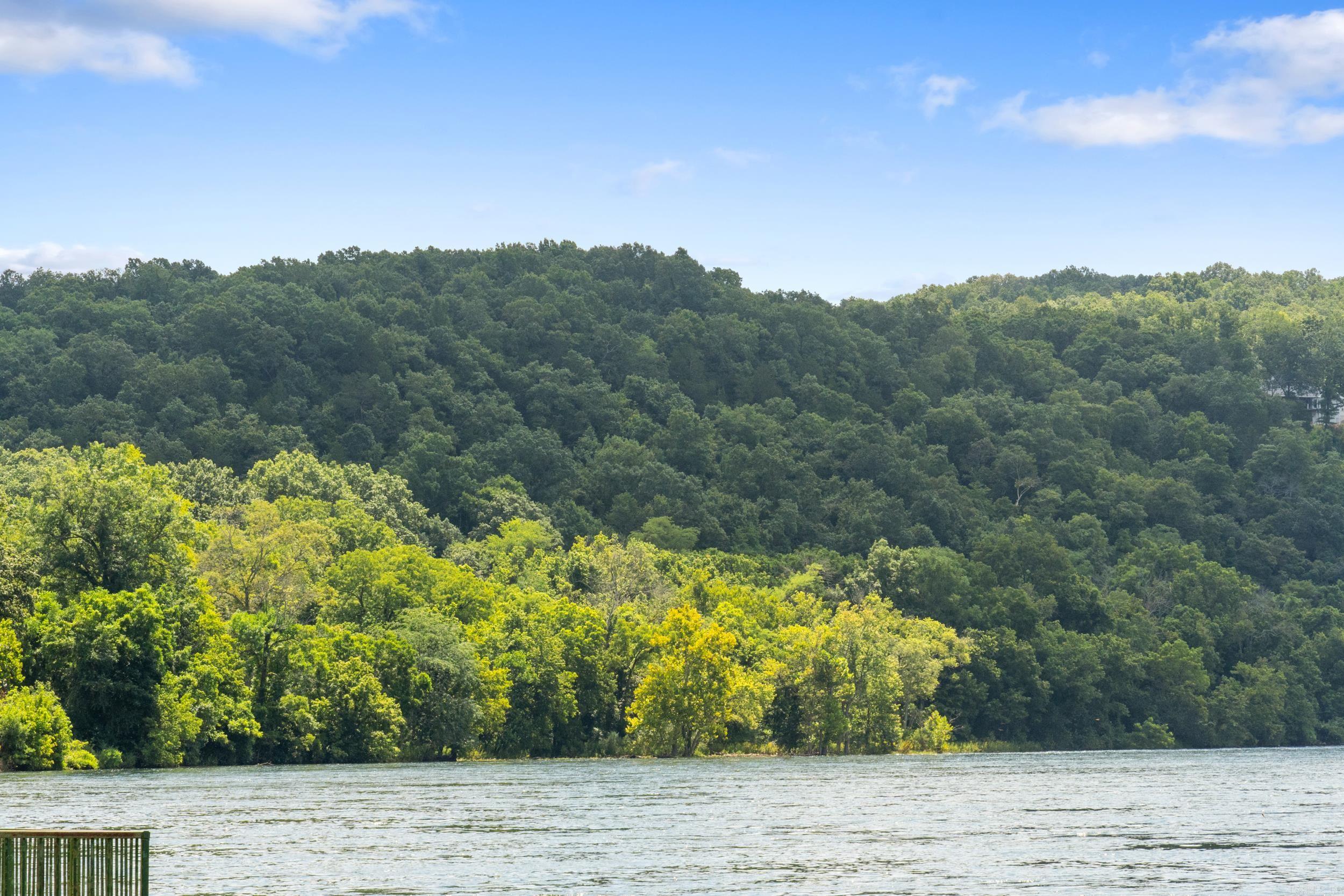 Tract 1-3 Rim Shoals Lane  Mountain Home, AR