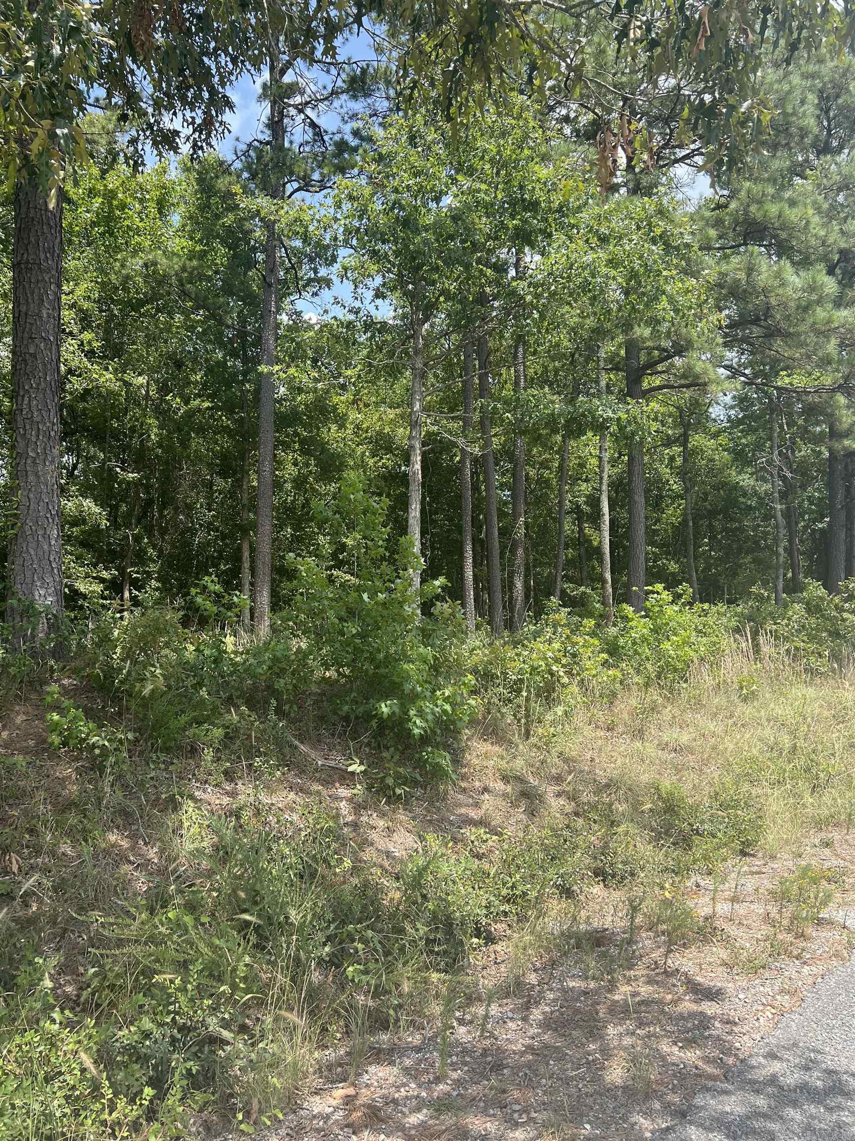 xxx Rosboro  Amity, AR