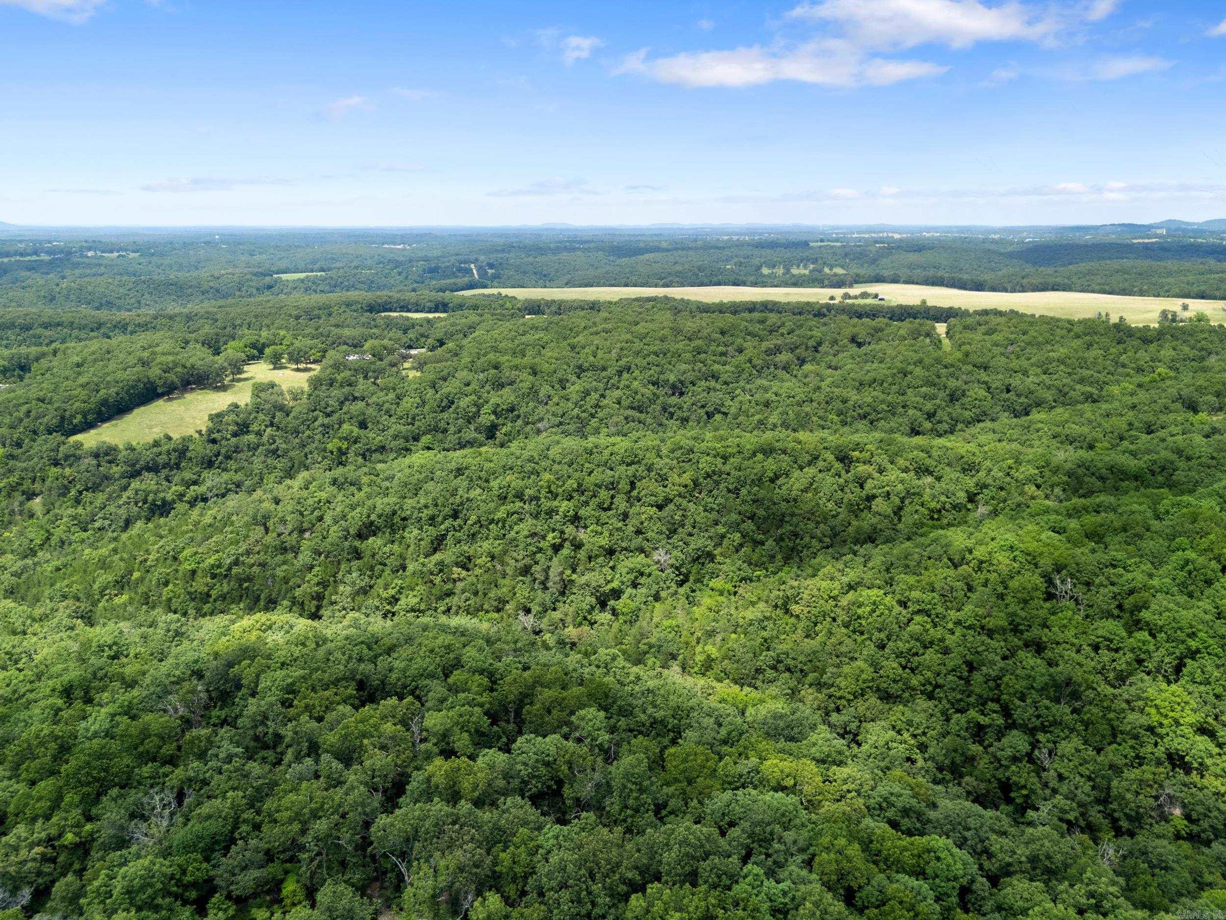 Tract 5 Lyle Drive  Mountain Home, AR