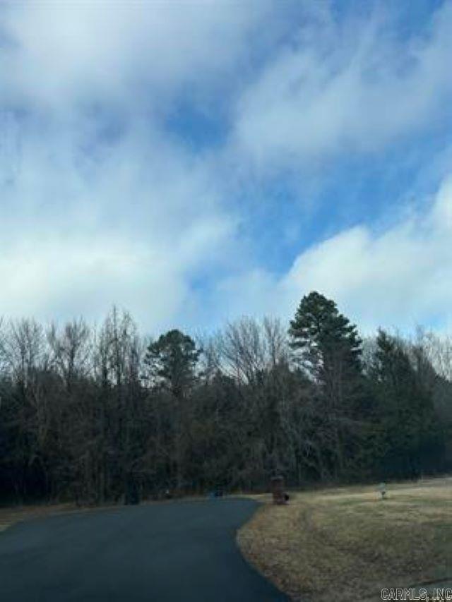 00 Blake Cove Lane  Greenbrier, AR