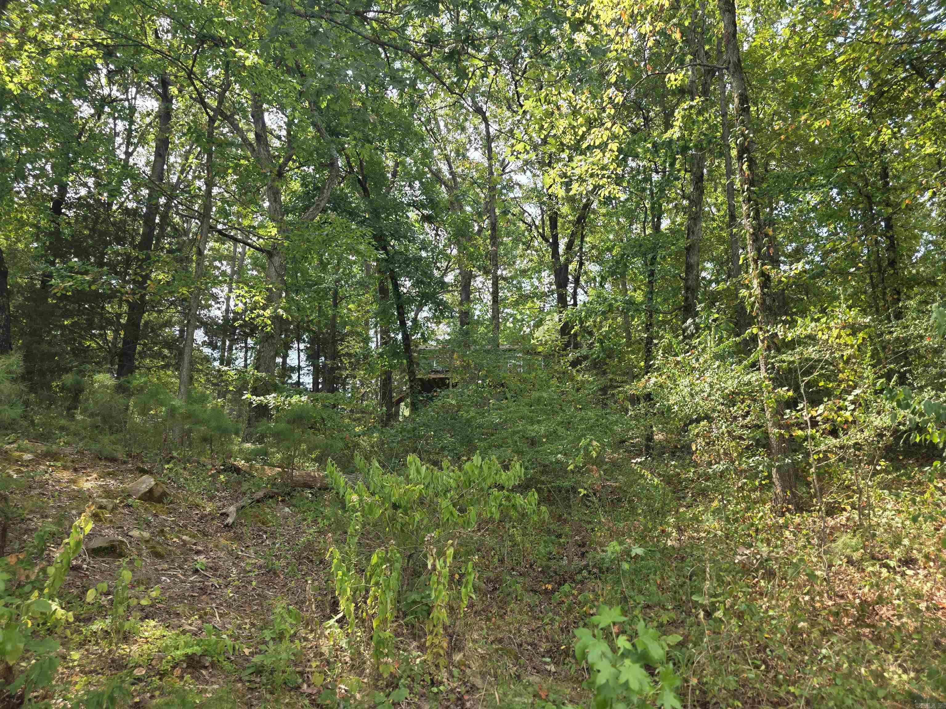 1000 Twin Cove  Greers Ferry, AR