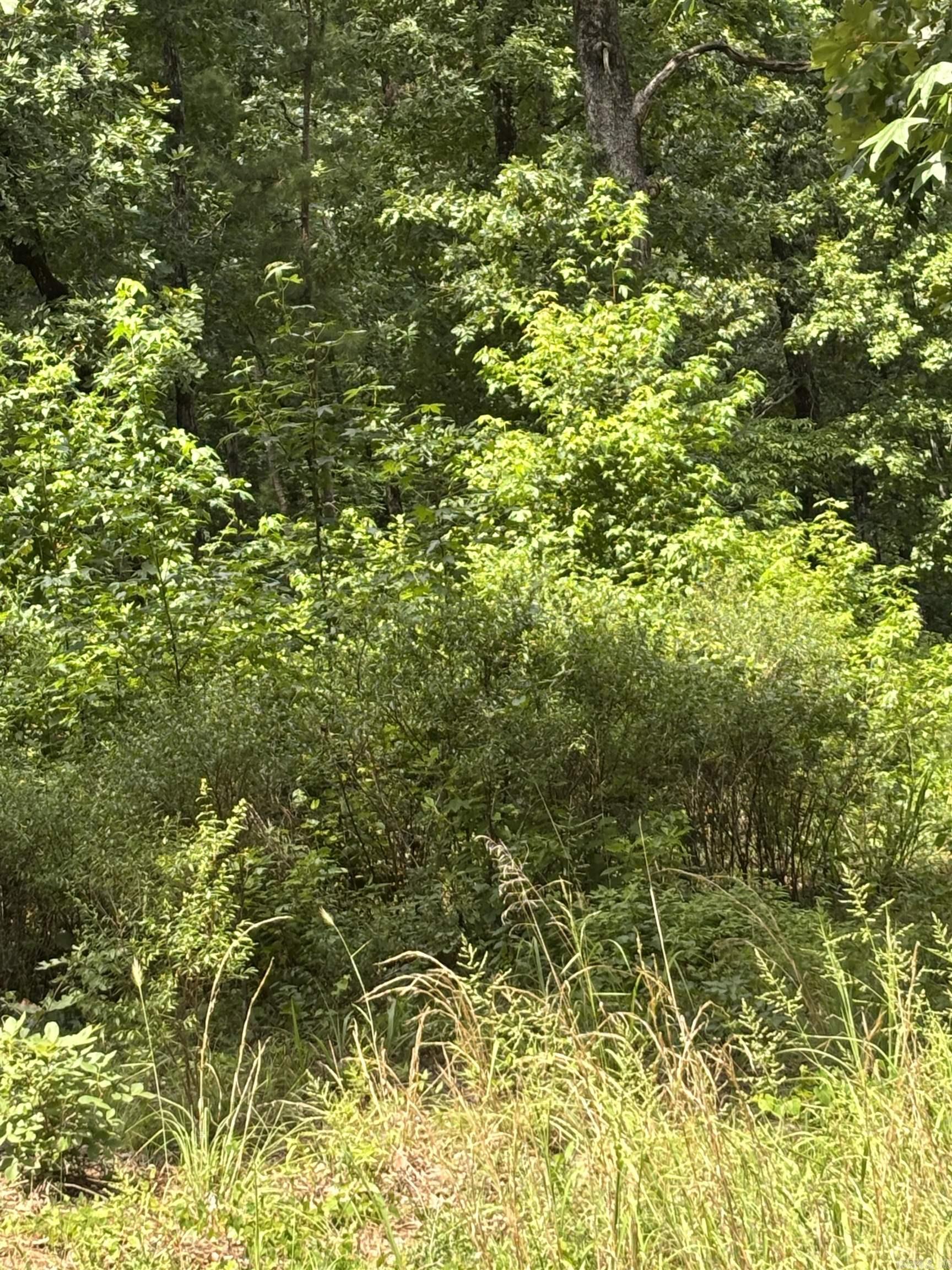 Lot 11 Boulder  Shirley, AR