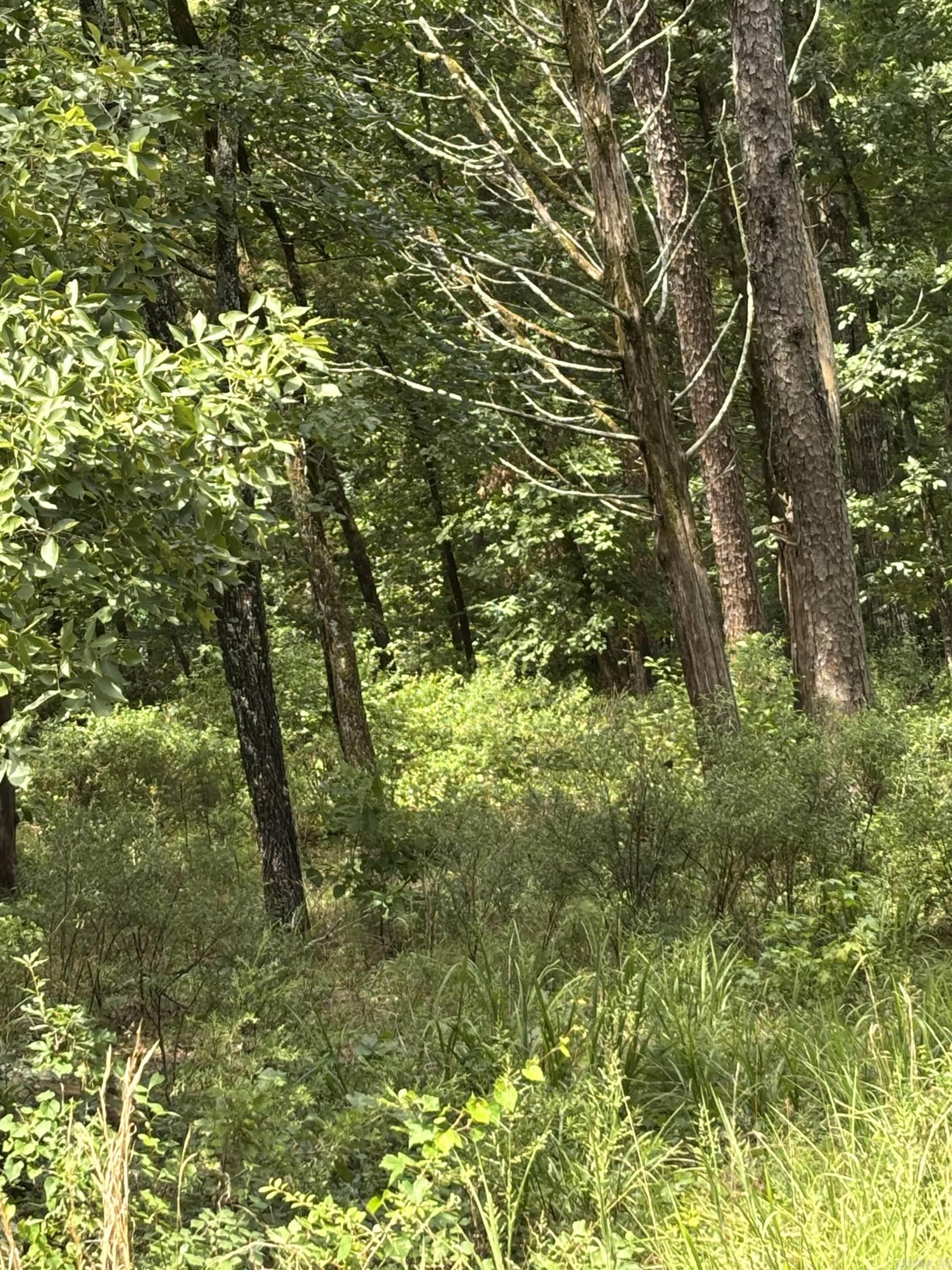Lot 11 Boulder  Shirley, AR