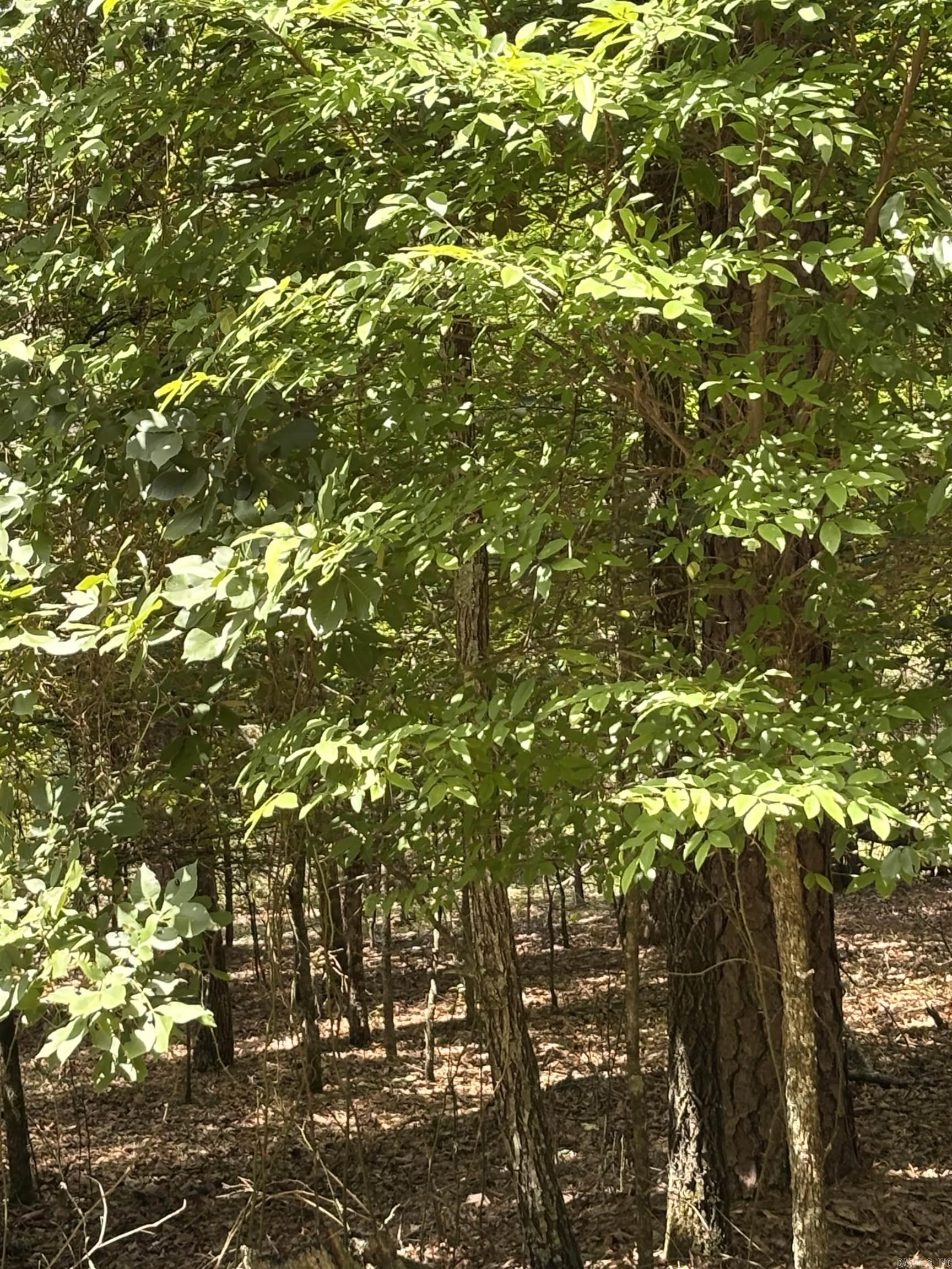 Lot 12 Boulder  Shirley, AR