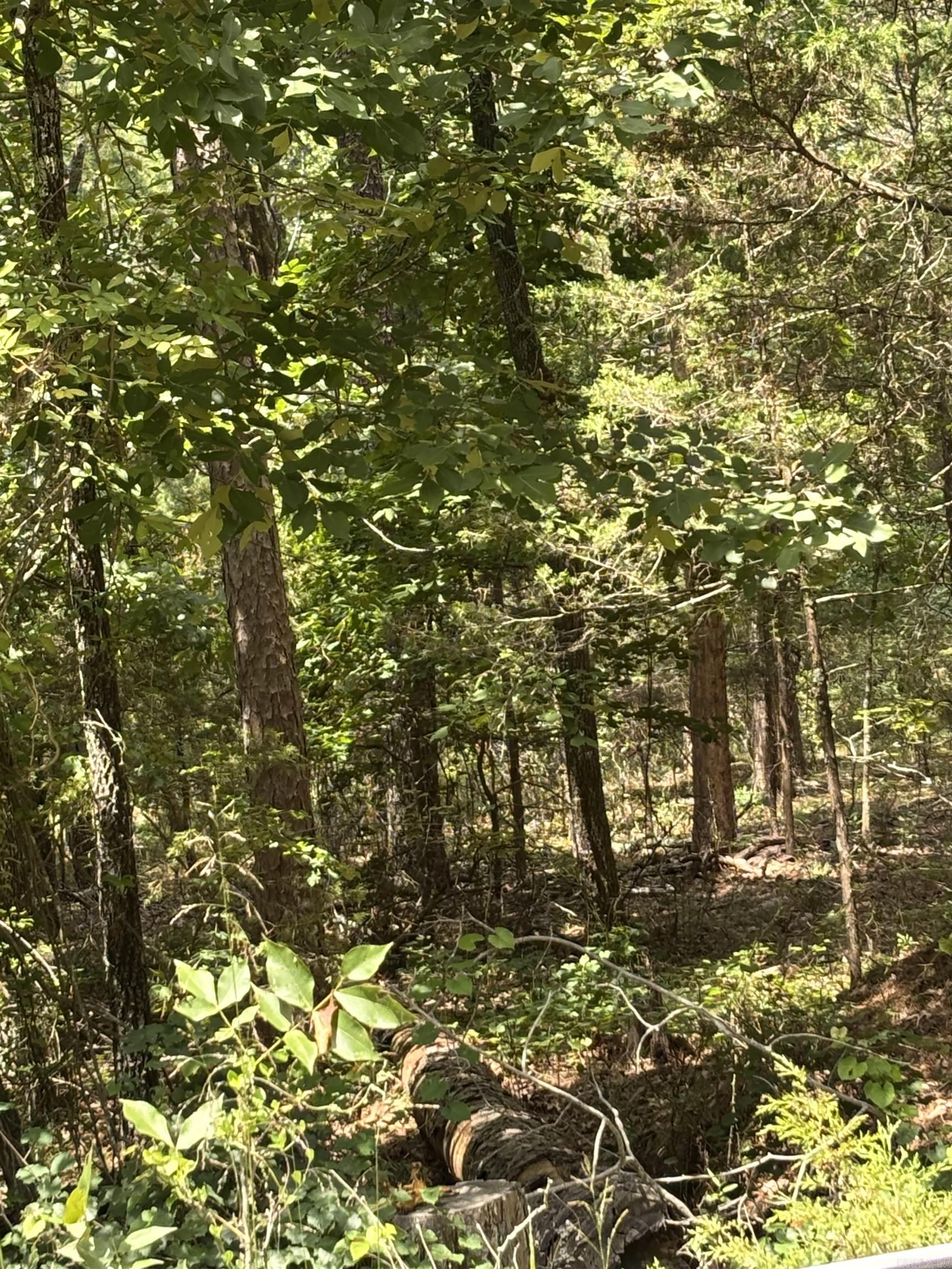 Lot 7 Boulder  Shirley, AR